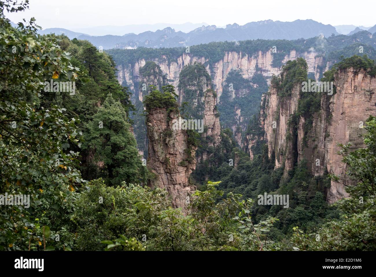 La Cina nella provincia del Hunan Zhangjiajie Wulingyuan Scenic Area Zhangjiajie National Forest Park elencati come patrimonio mondiale dall' UNESCO Foto Stock