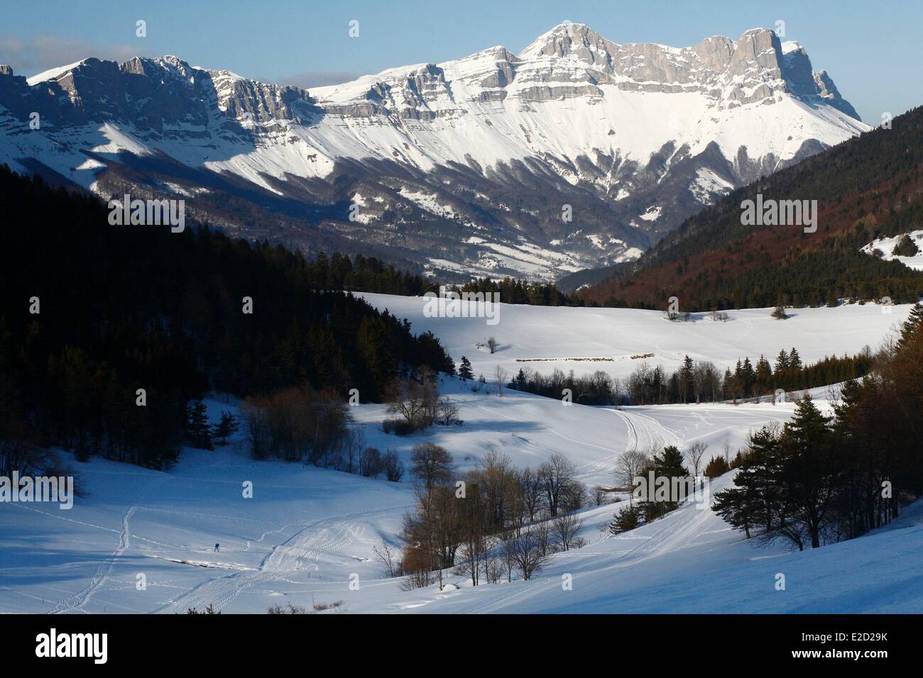 Francia Isere Parc Naturel Regional du Vercors (parco naturale regionale del Vercors) Gresse Vercors vista dal monte ressort Foto Stock