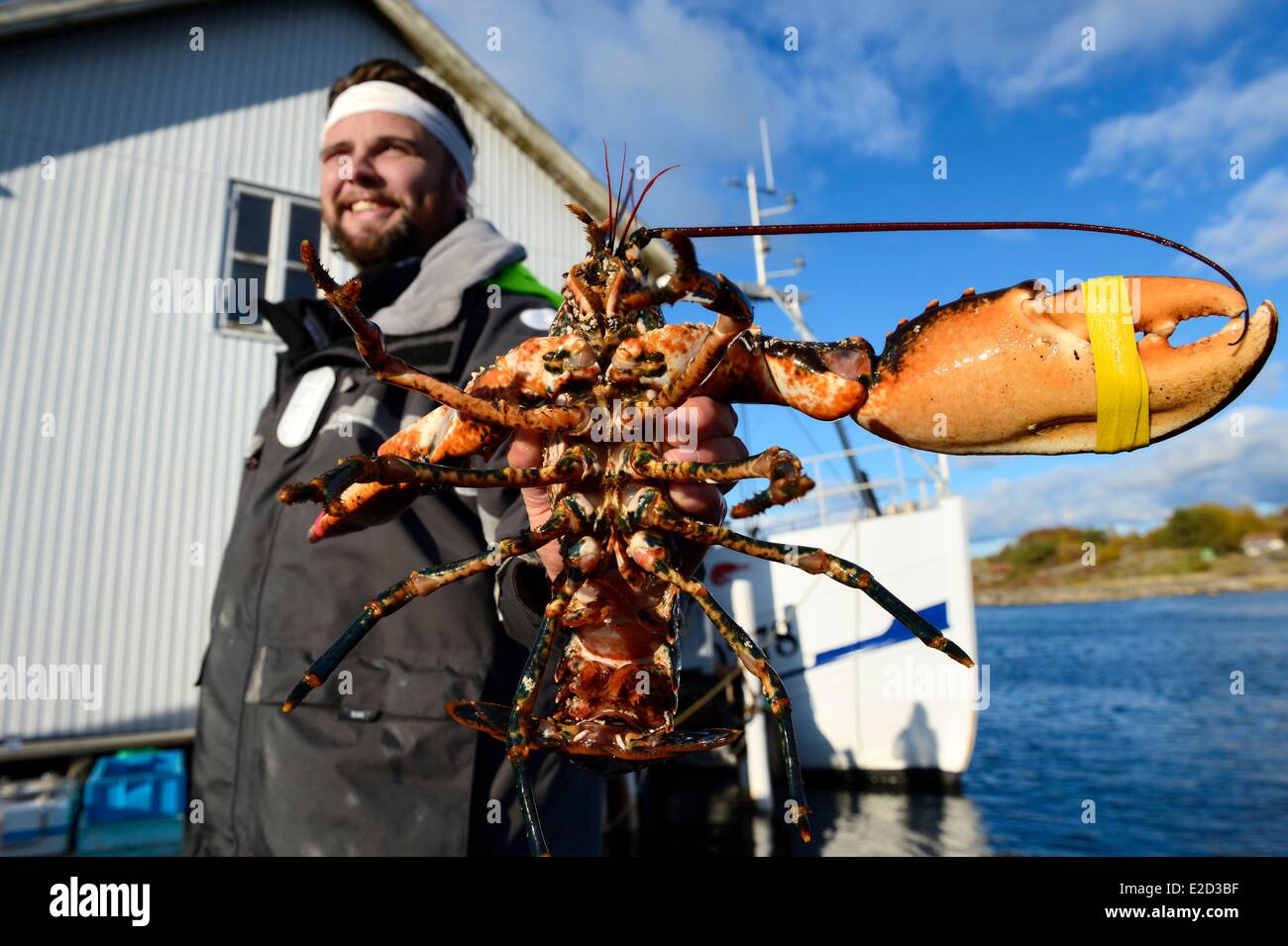 La Svezia Vastra Gotaland Koster Isole Ekenas Sydkoster porto di ritorno dalla pesca dell'aragosta Foto Stock