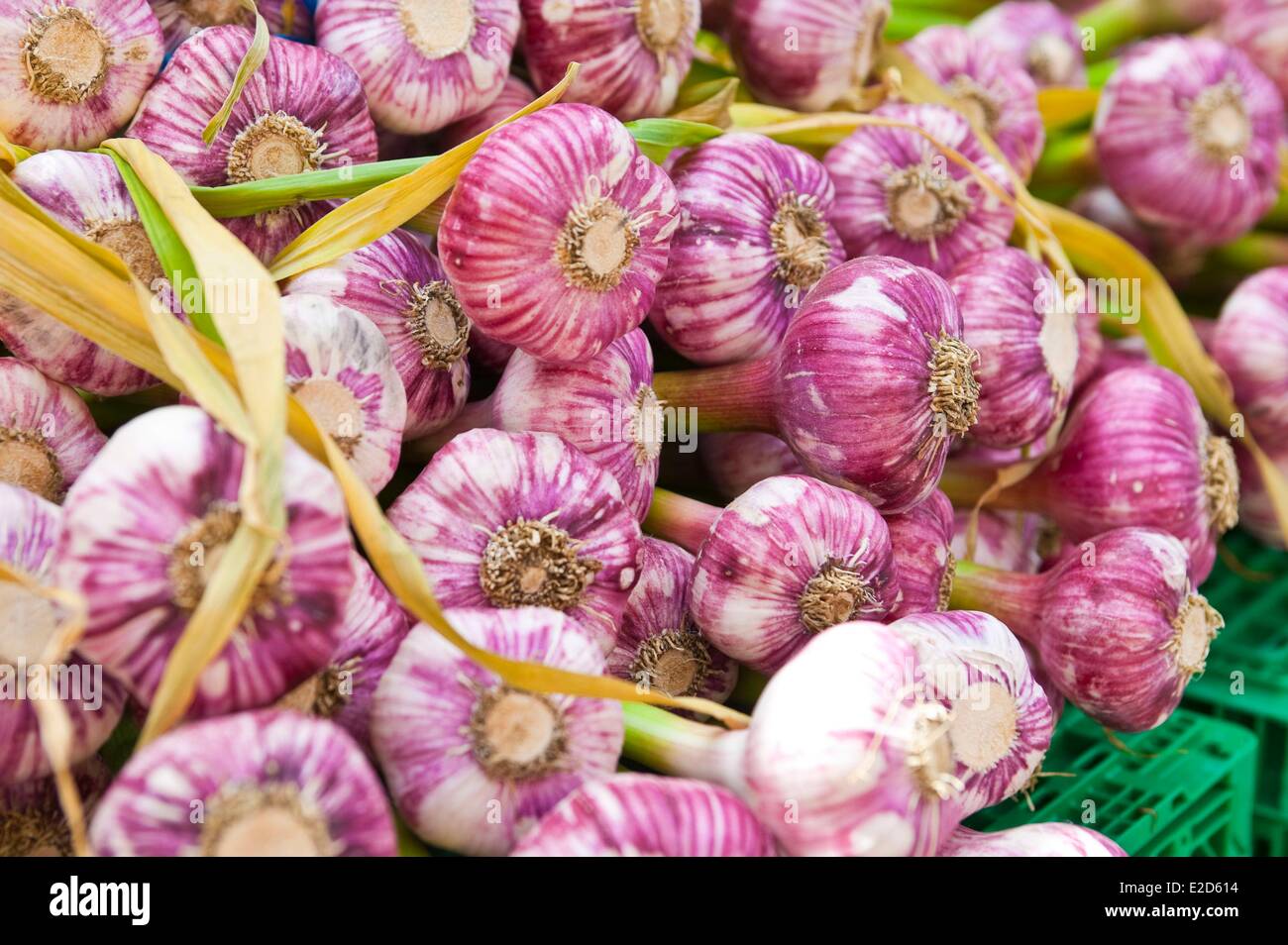 Francia Vaucluse Luberon Apt aglio di mercato Foto Stock