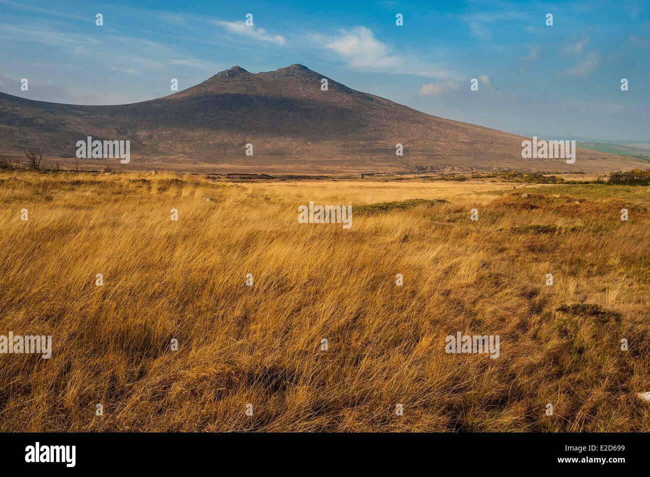 Regno Unito Irlanda del Nord la contea di Down the Mourne Mountains vicino a Newcastle Foto Stock