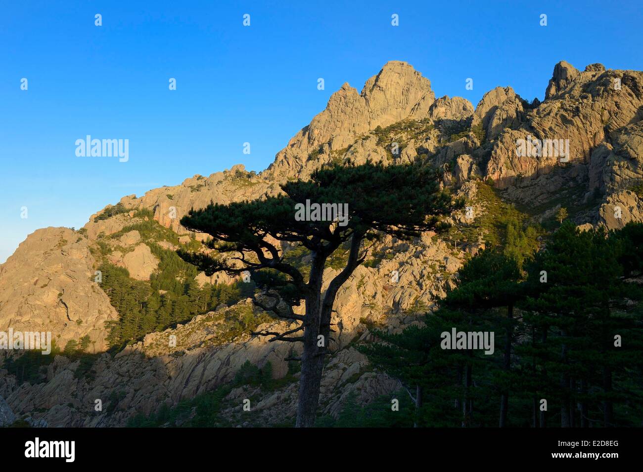 La Francia Corse du Sud Alta Rocca Aiguilles de Bavella (aghi di Bavella) la variante alpina del GR 20 (Grande Randonnee Foto Stock