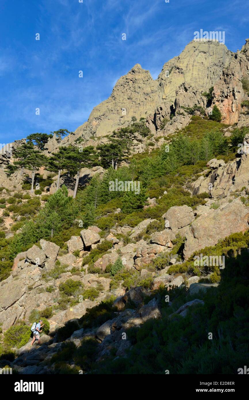 La Francia Corse du Sud Alta Rocca Aiguilles de Bavella (aghi di Bavella) escursionisti sulla variante alpina del GR 20 (Grande Foto Stock