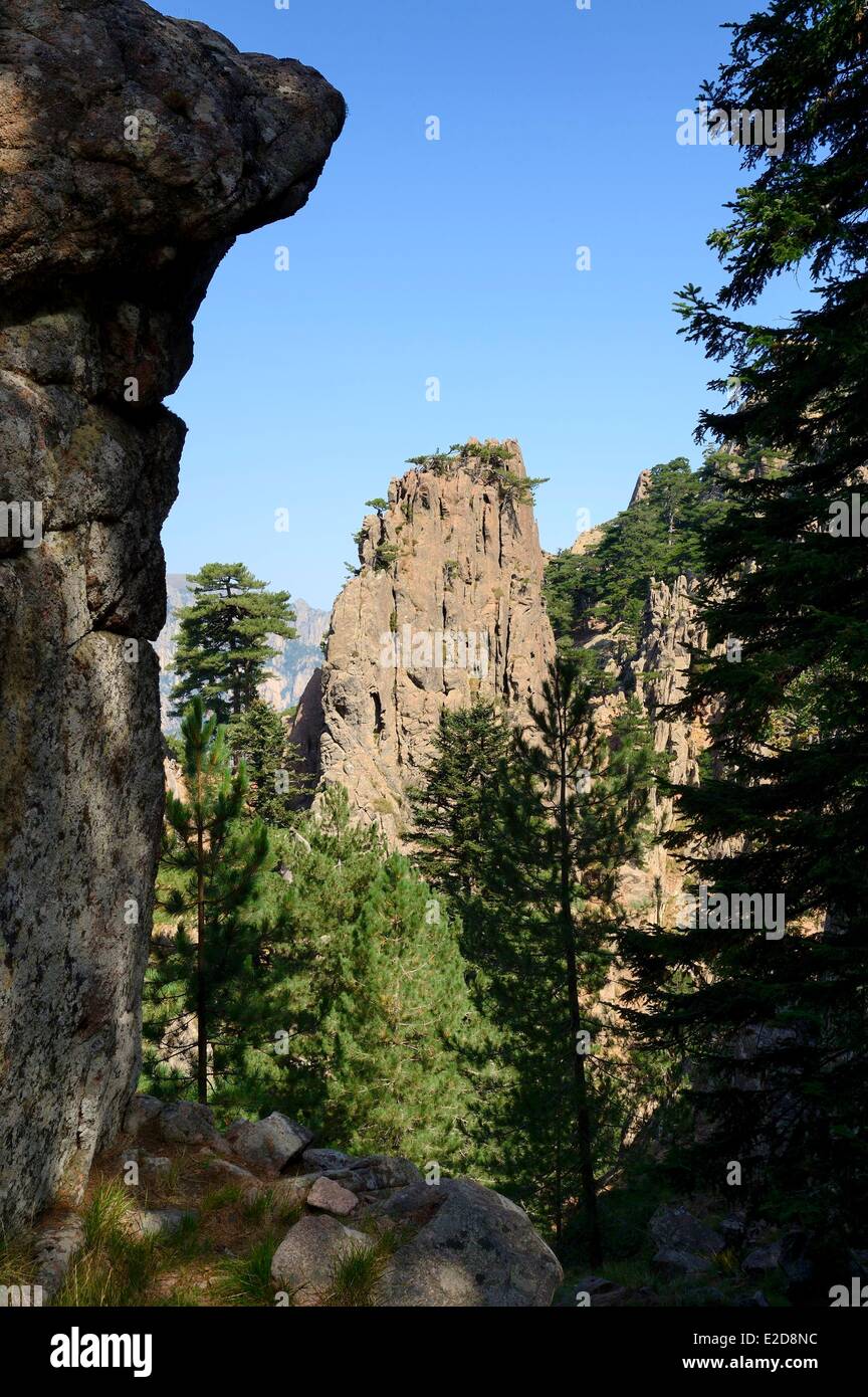 La Francia Corse du Sud Alta Rocca escursioni nel massiccio di Bavella a Punta Velacu Foto Stock
