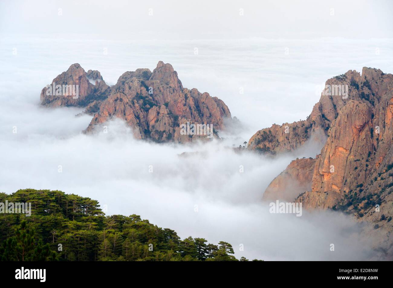 La Francia Corse du Sud Alta Rocca vette dei monti ad est del colle di Bavella (Col de Bavella) emergenti di nuvole e la Foto Stock