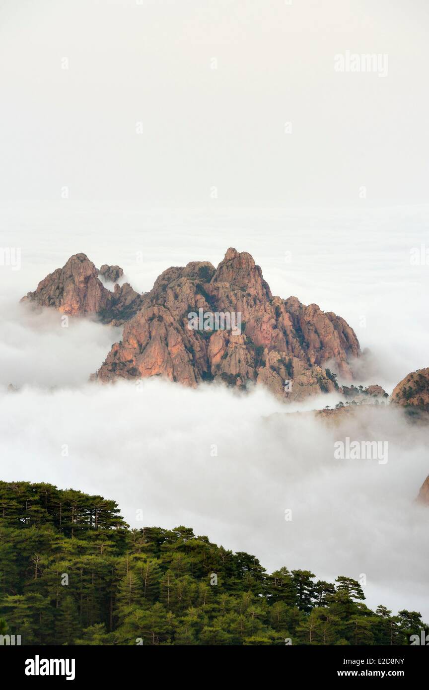 La Francia Corse du Sud Alta Rocca vette dei monti ad est del colle di Bavella (Col de Bavella) emergenti di nuvole e la Foto Stock