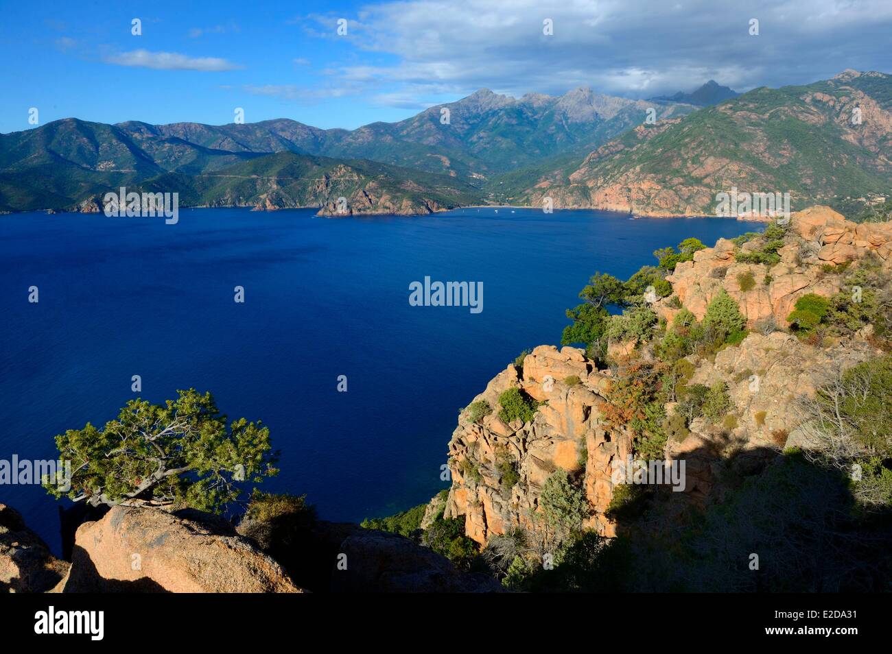 Francia, Corse du Sud, Golfe de Porto, classificato come patrimonio mondiale dall UNESCO, le insenature di Piana (Calanches de Piana) con le rocce di granito rosa Foto Stock