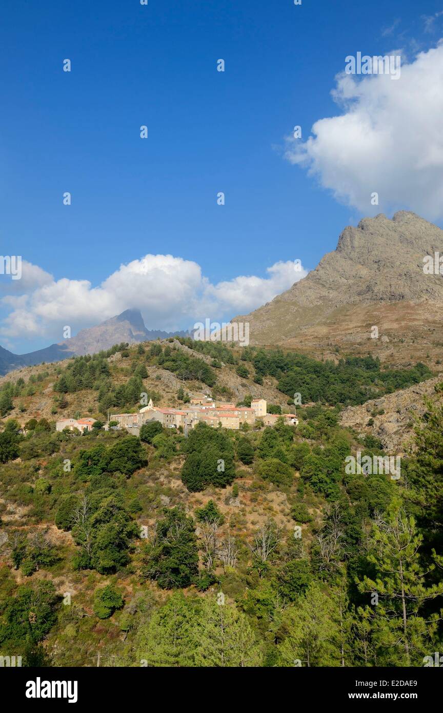Francia, Haute Corse Niolu (Niolo) regione, Calasima villaggio più alto in Corsica (1 095m) a piedi della Paglia Orba mountain Foto Stock