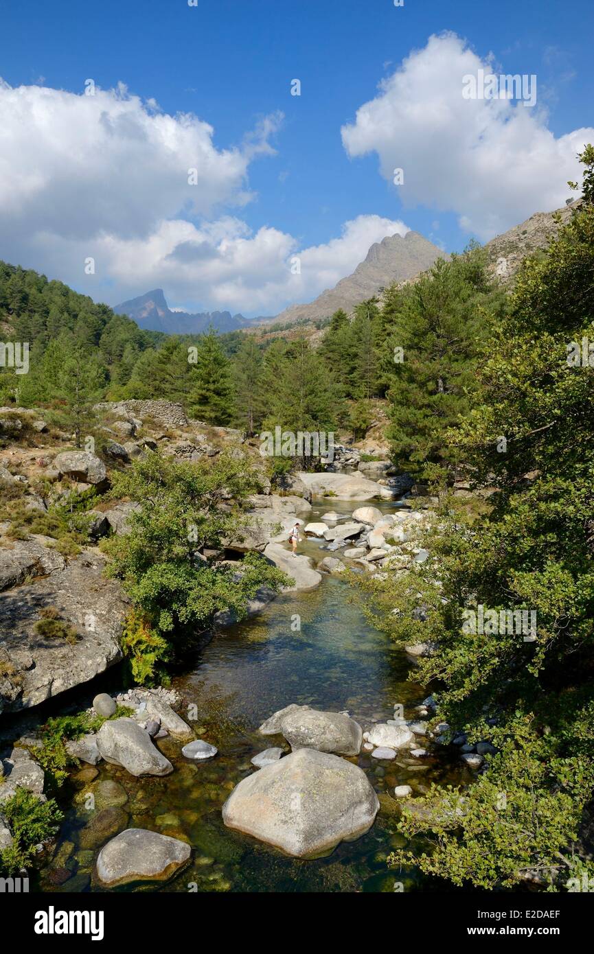 Francia, Haute Corse Niolu (Niolo) regione, il fiume Calasima e la Paglia Orba a forma di montagna come una pinna di squalo in background Foto Stock