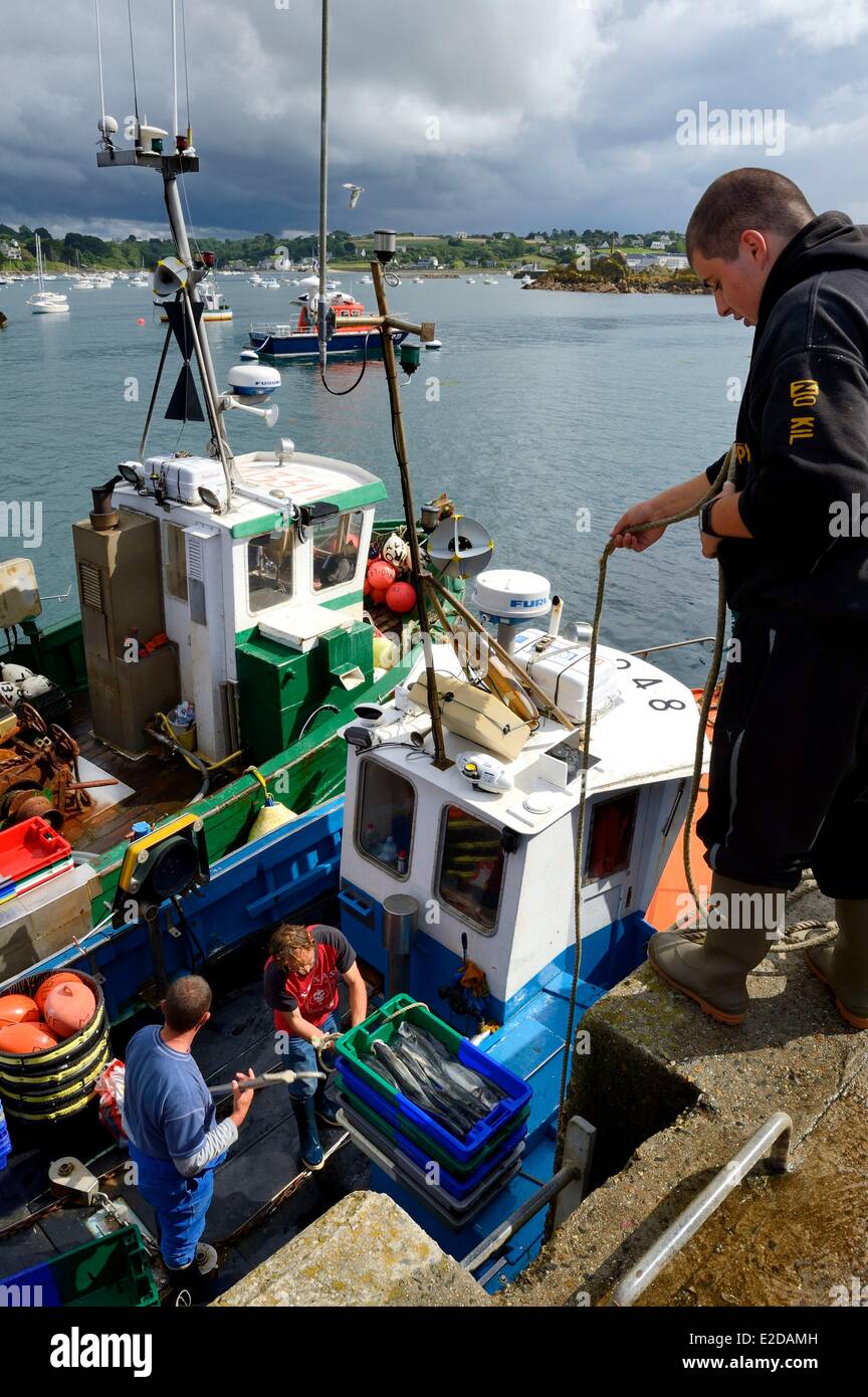 Francia Finisterre Plougasnou le navi per la pesca a strascico di ritorno dalla pesca nel porto di Diben Foto Stock
