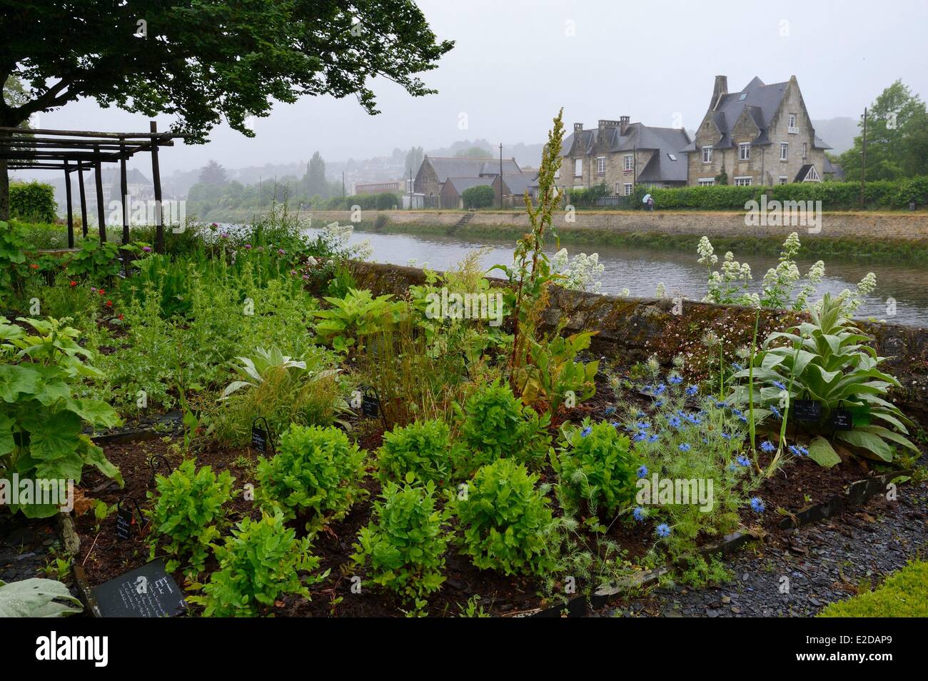 Francia Finistere Quimper Locmaria area di piante medicinali e aromatiche giardino Foto Stock