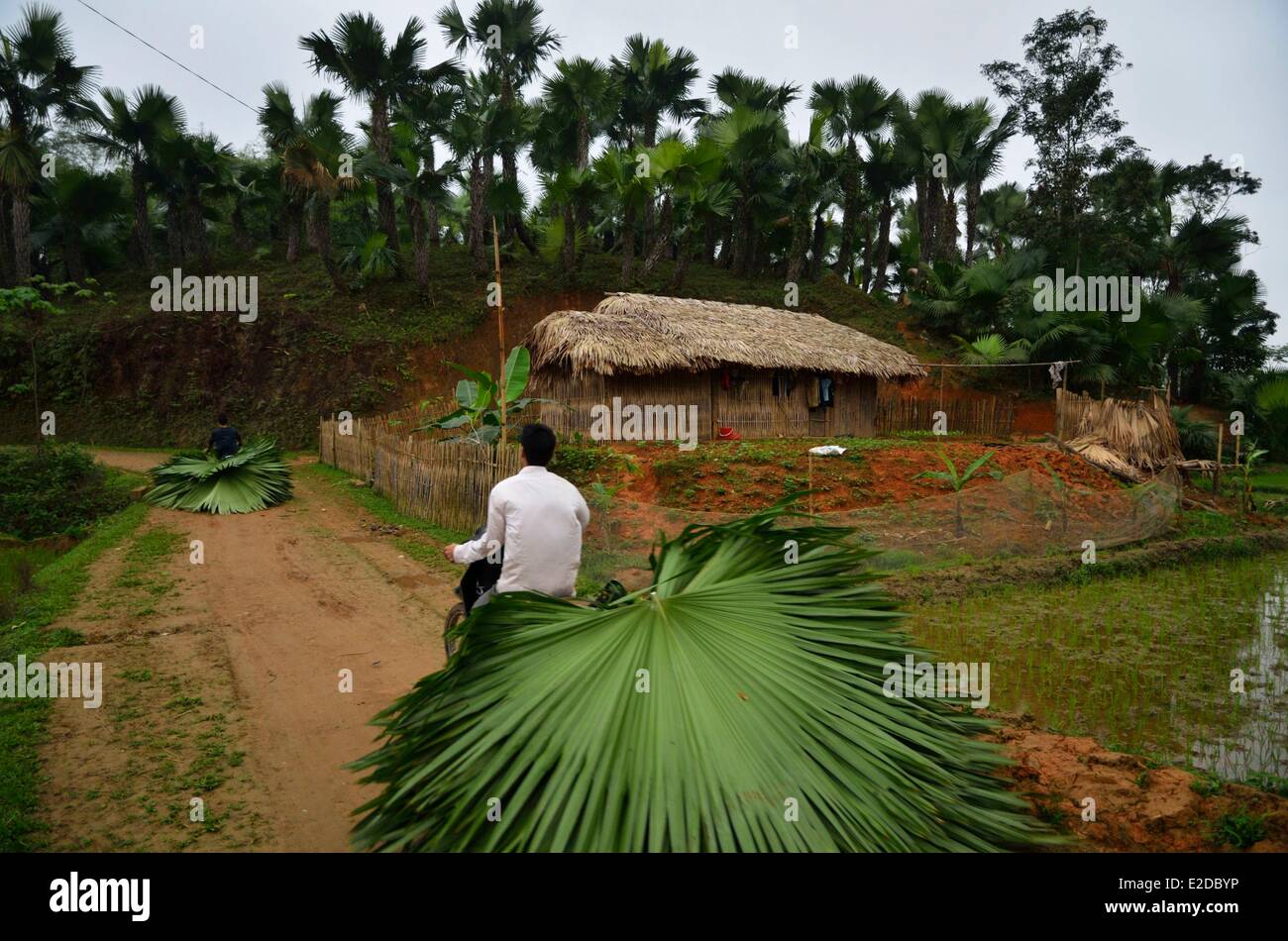 Il Vietnam Lao Cai provincia di Bac Ha regione villaggio di Thais nero gruppo etnico Foto Stock