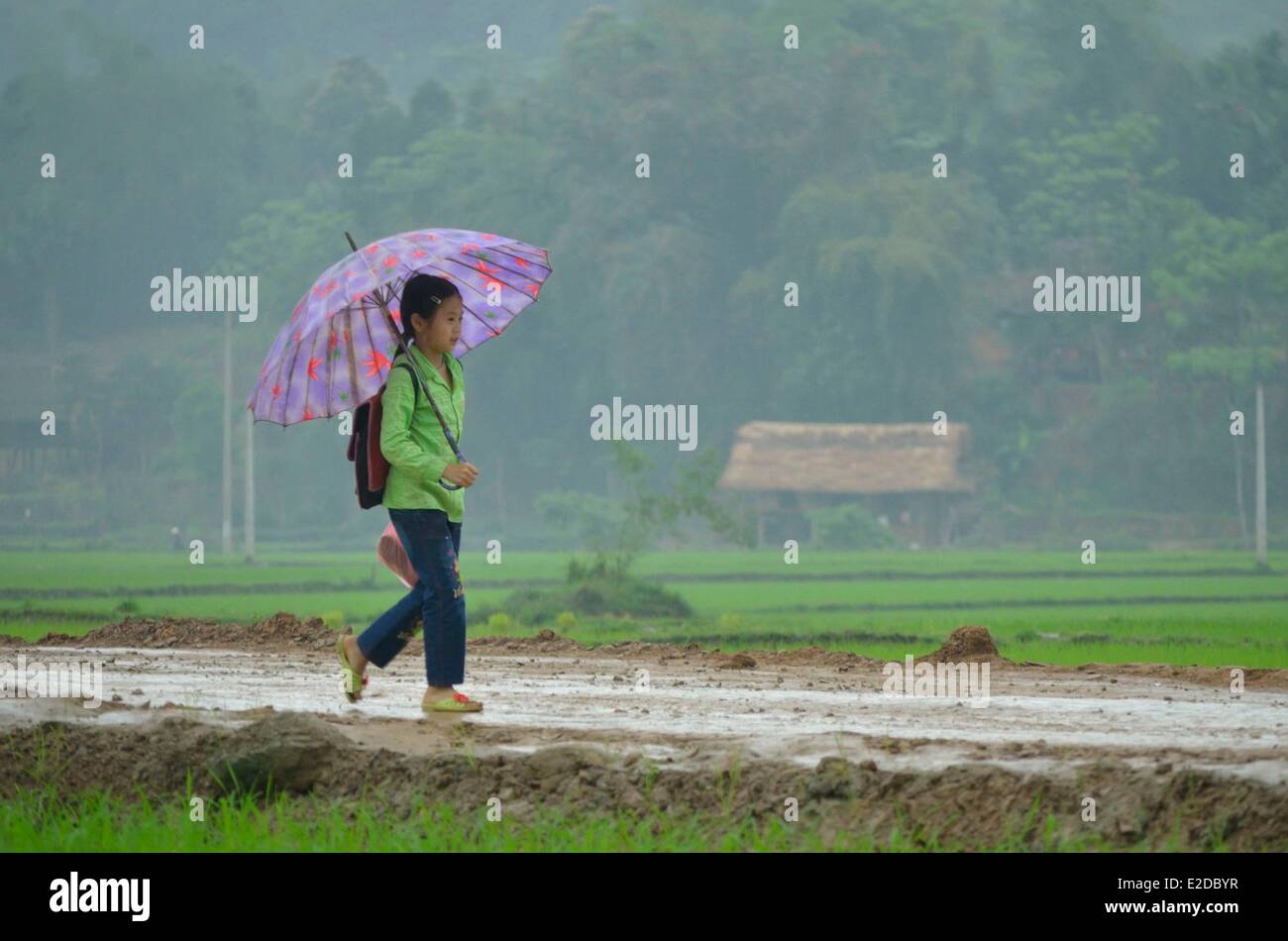 Il Vietnam Lao Cai provincia di Bac Ha regione villaggio di Thais nero gruppo etnico ai bambini che tornano da scuola Foto Stock