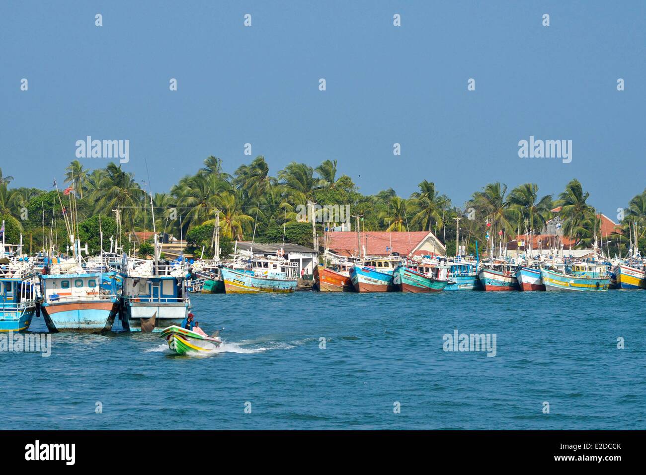 Sri Lanka, provincia occidentale, Gampaha distretto, Negombo, porto di pescatori, colorate in legno i pescherecci con reti da traino su una laguna fianco a fianco con sfondo palme da cocco Foto Stock