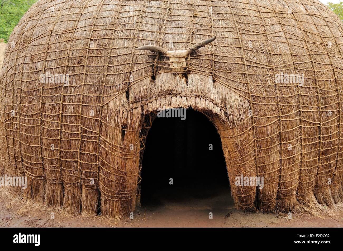 Swaziland Hhohho district Ezulwini Valley (Valle del cielo) mantenga la Riserva Naturale Il Swazi Villaggio Culturale è un essere vivente Foto Stock