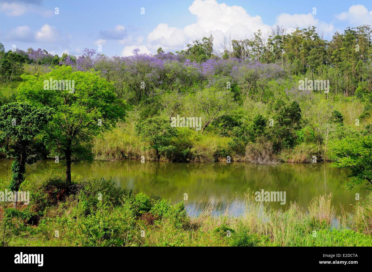 Swaziland Hhohho district Ezulwini Valley (Valle del cielo) Mlilwane Wildlife Sanctuary Foto Stock