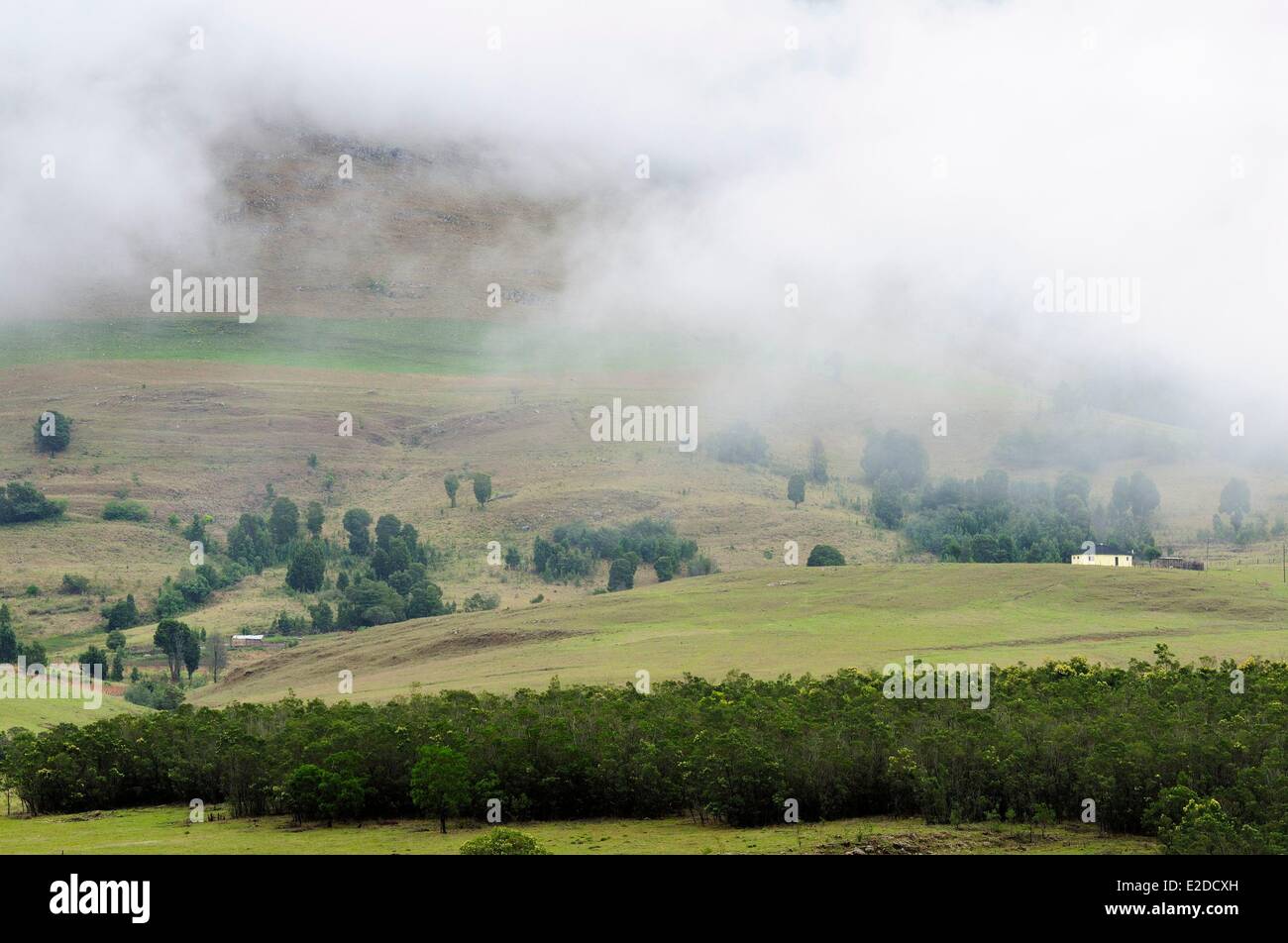 Swaziland Hhohho district la campagna a nord di Mbabane la capitale Foto Stock