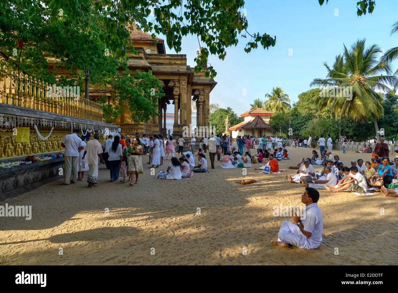 Sri Lanka Provincia Occidentale del Distretto di Colombo Kelaniya Kelaniya Raja Maha Vihara il tempio buddista uomo che prega nella parte anteriore del Foto Stock