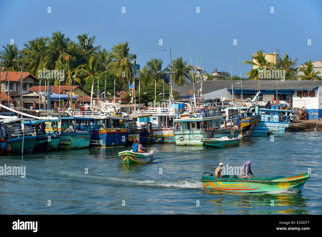 Sri Lanka Provincia Occidentale Distretto Gampaha Negombo porto di pesca i pescherecci con reti da traino e barche colorate a fianco della banchina Foto Stock