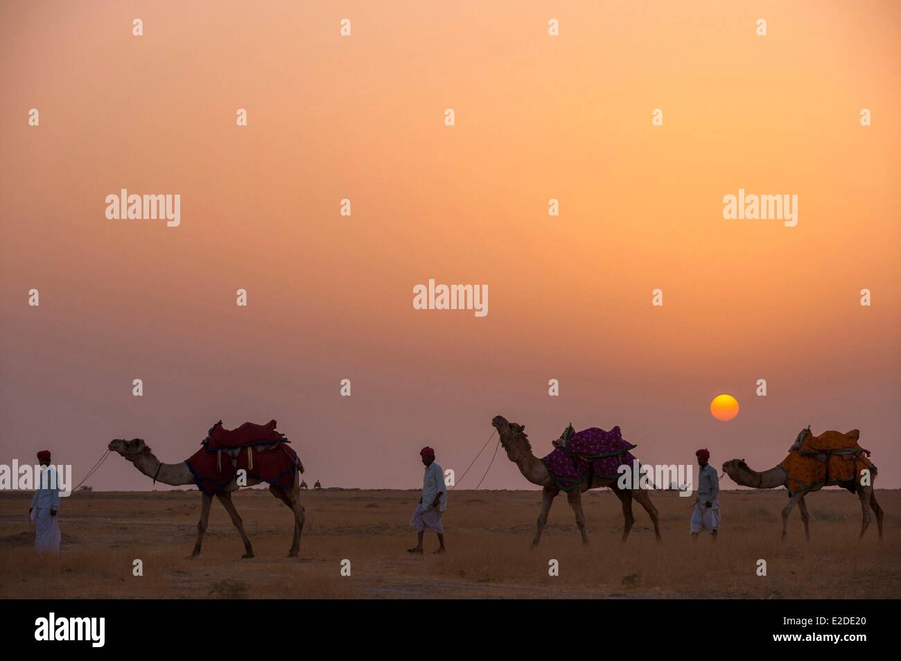 India Rajasthan Jaisalmer Rajput nomadi con le loro carovane di cammelli nel deserto di Thar Foto Stock