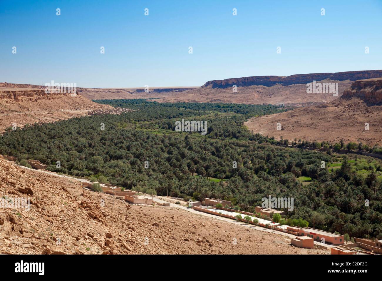 Il Marocco, Tafilalet regione, Ziz valley, Palm grove vicino Aoufouss Foto Stock
