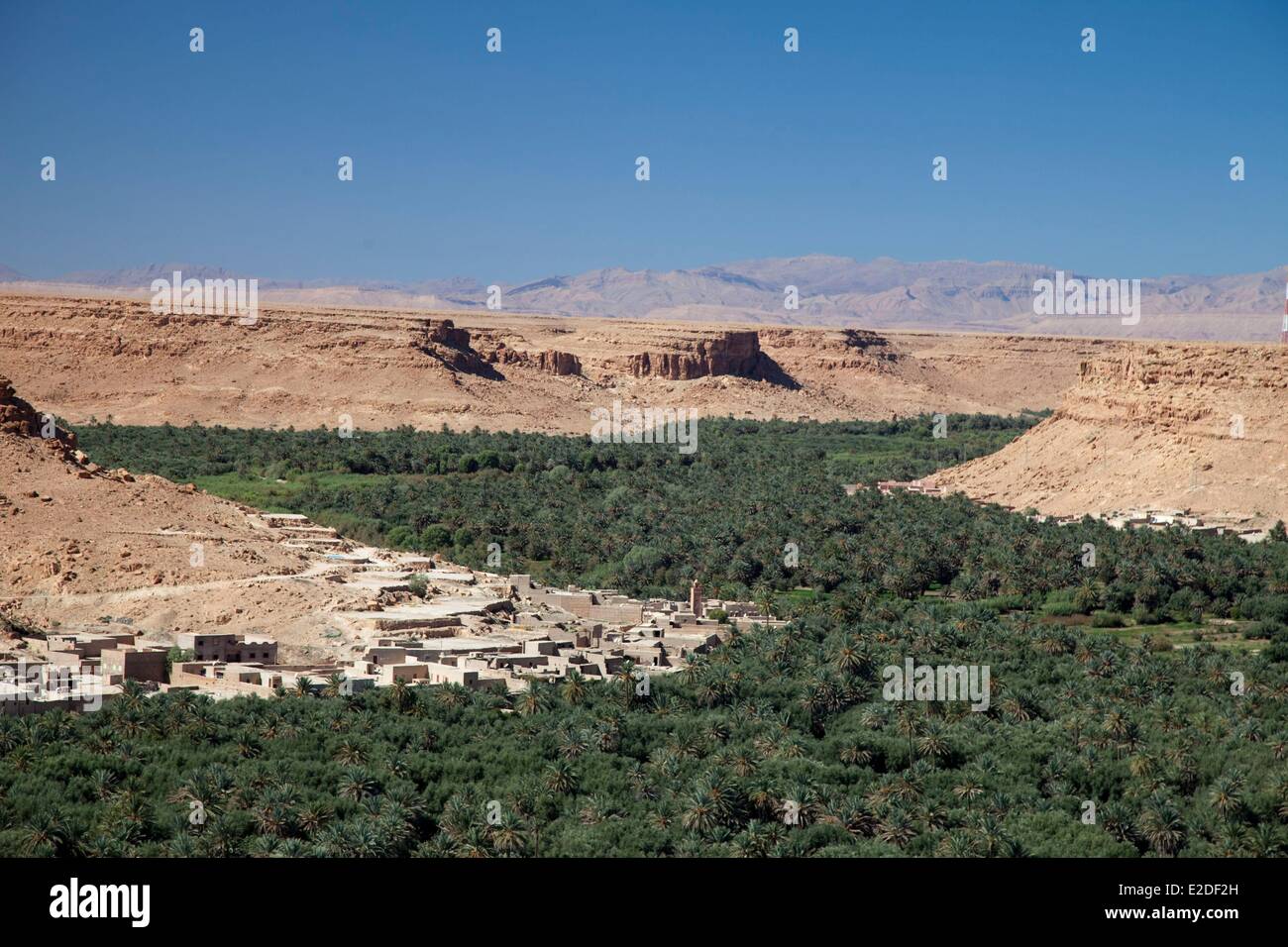 Il Marocco, Tafilalet regione, Ziz valley, Palm grove vicino Aoufouss Foto Stock