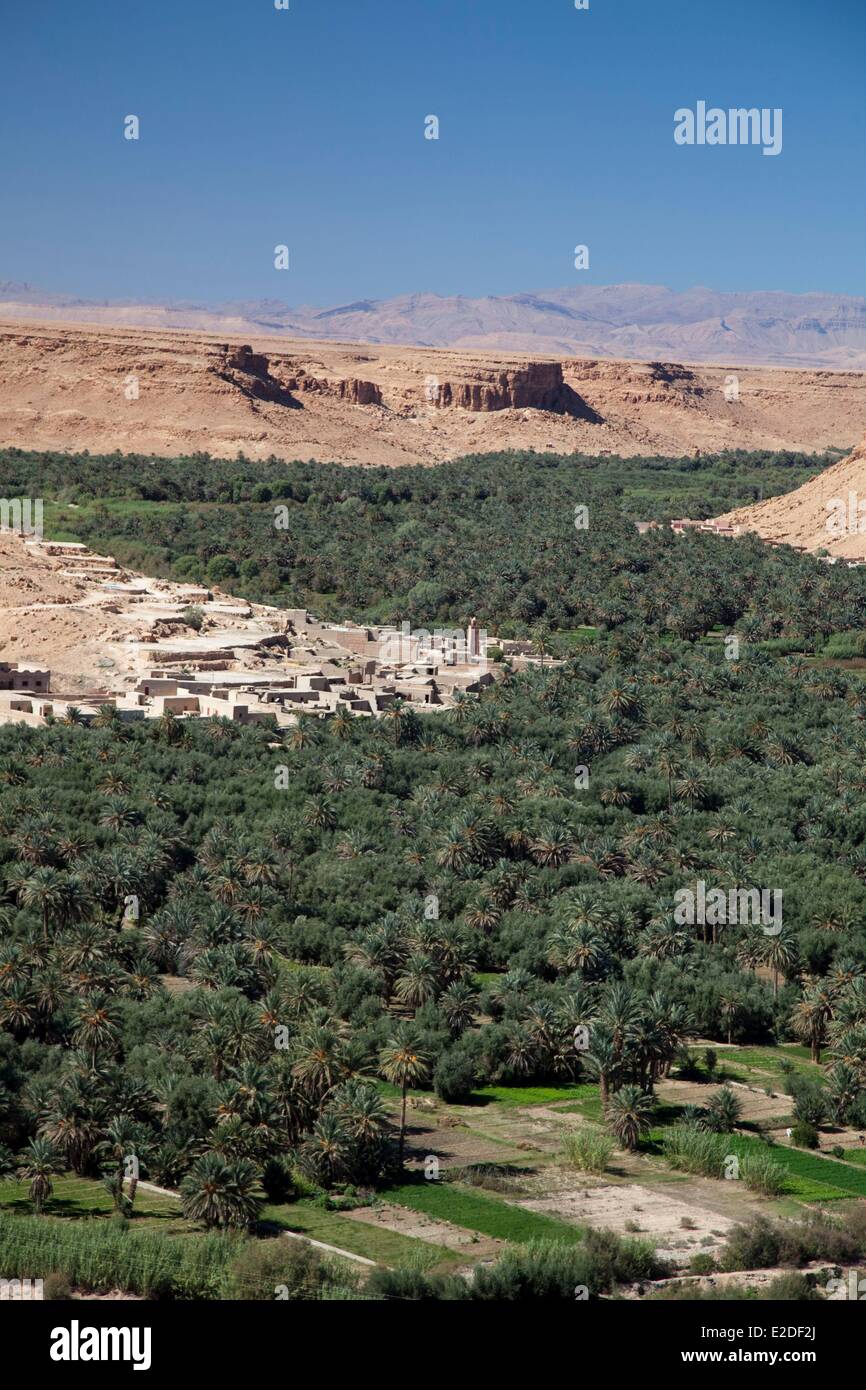 Il Marocco, Tafilalet regione, Ziz valley, Palm grove vicino Aoufouss Foto Stock