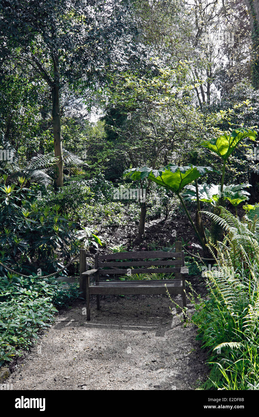 Un giardino ombreggiato sedile. Foto Stock