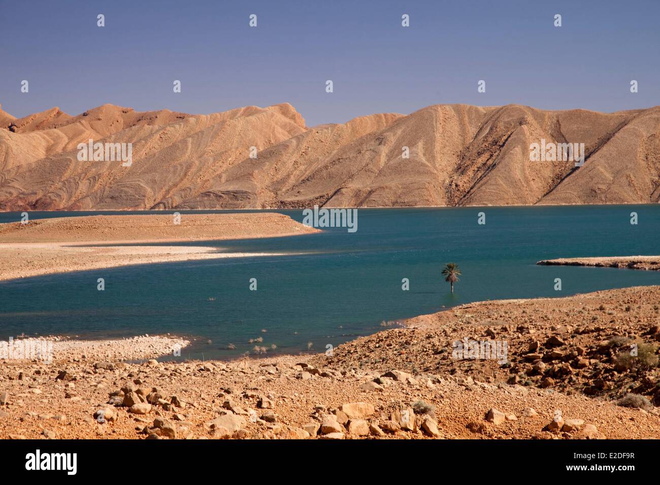 Il Marocco, Tafilalet regione, Ziz valley, Errachidia diga del lago Foto Stock