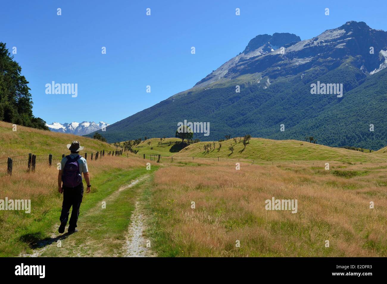 'Isola Sud della Nuova Zelanda Otago Paradiso regione nelle vicinanze di Glenorchy uno dei luoghi del film Il Signore degli Anelli Foto Stock