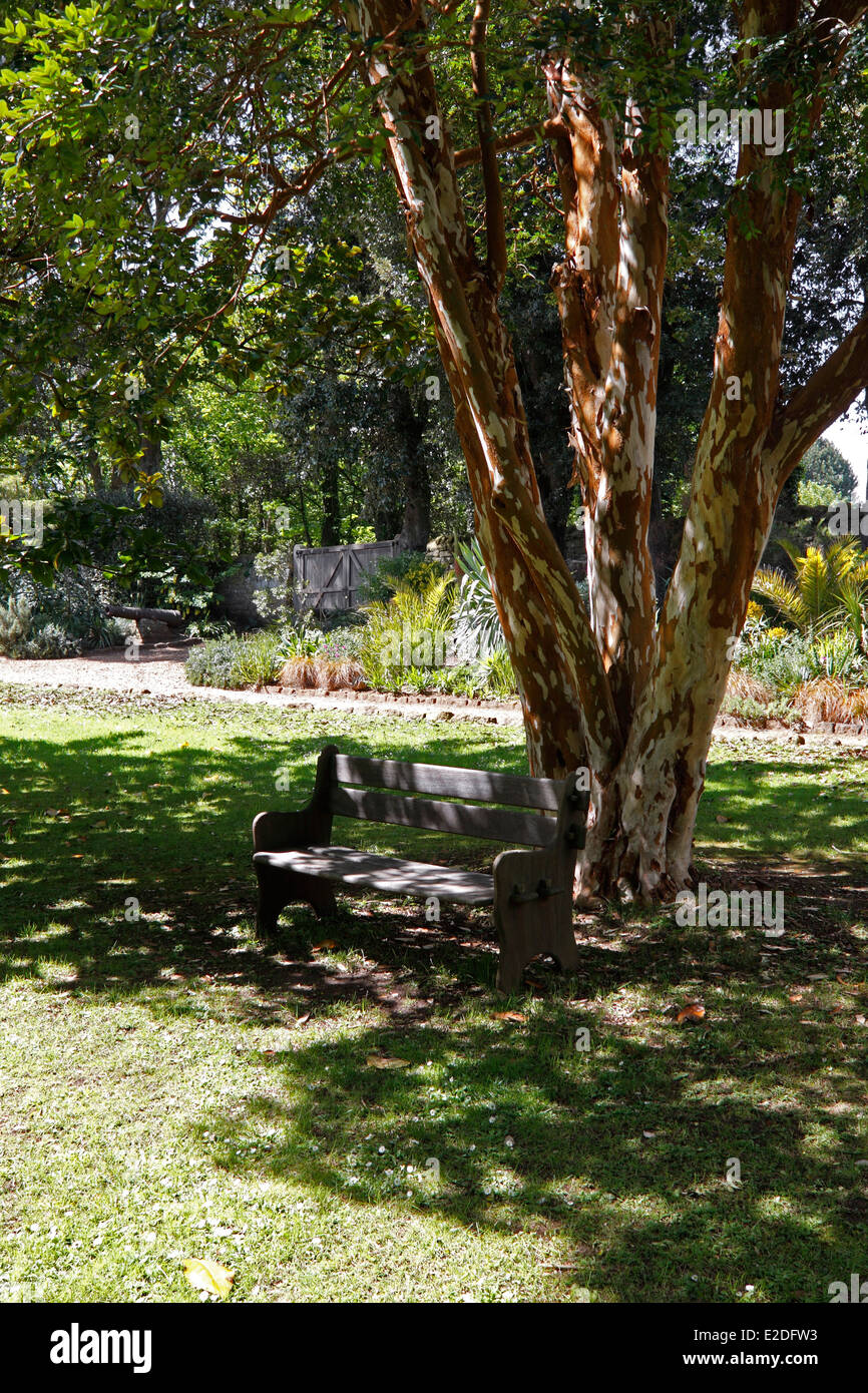 Un giardino ombreggiato sedile. Regno Unito. Foto Stock