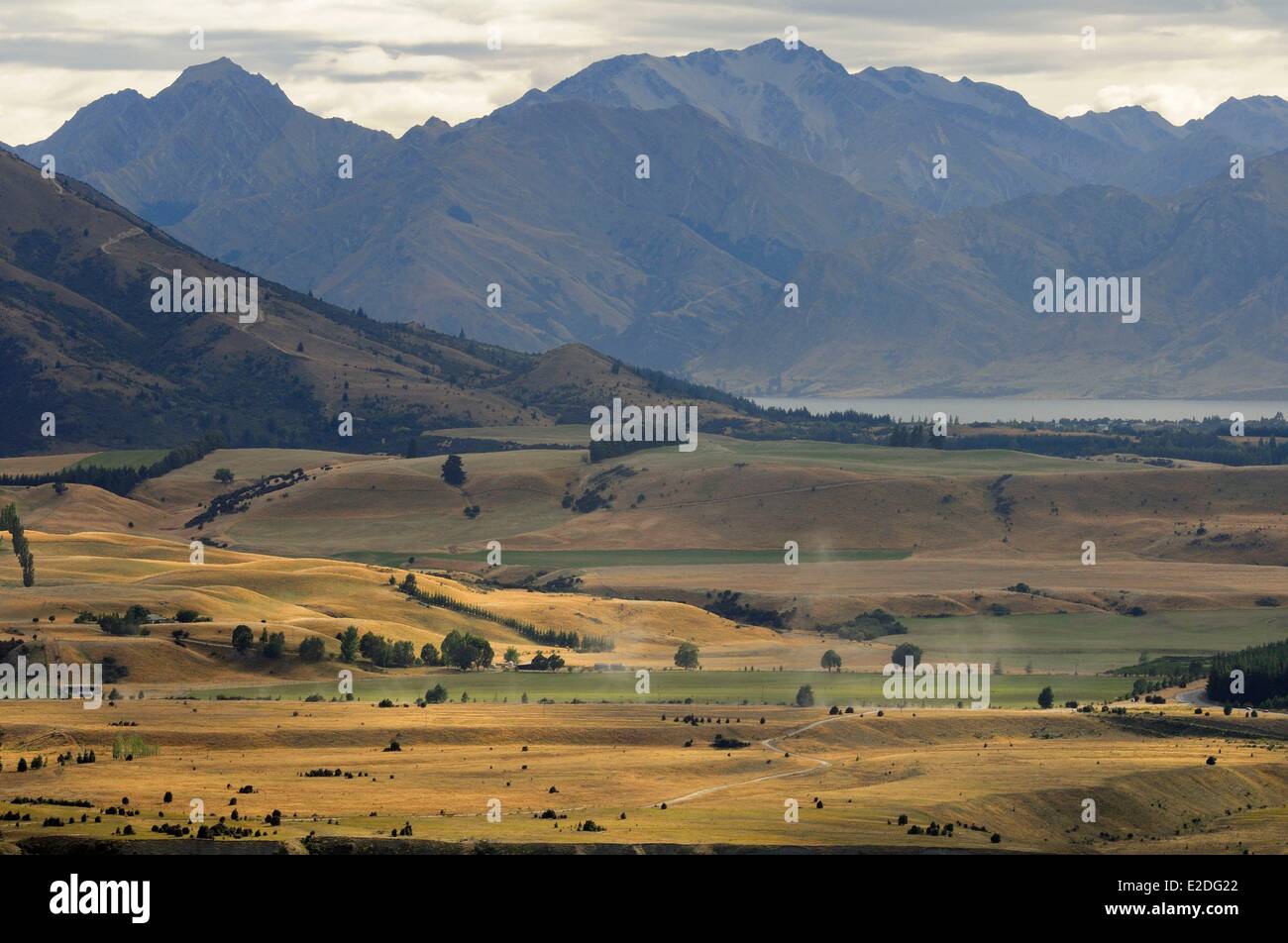 Nuova Zelanda Isola del Sud regione di Otago Wanaka alle porte del monte aspiranti Parco Nazionale di vista panoramica dal Monte Ferro (549m) Foto Stock