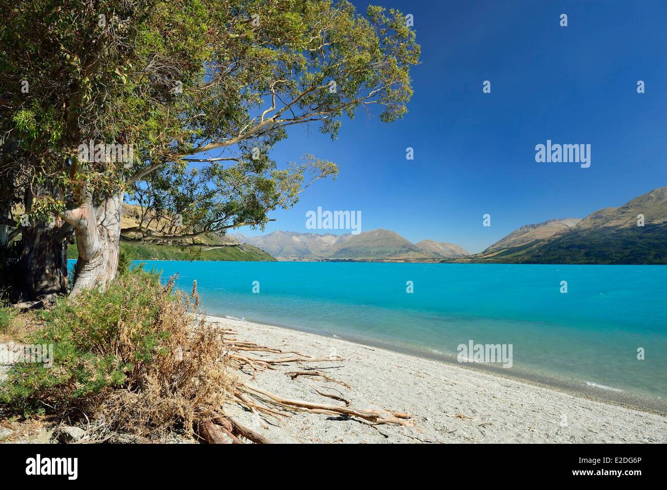 'Isola Sud della Nuova Zelanda Otago regione del Lago Wakatipu tra Queenstown e Glenorchy Foto Stock