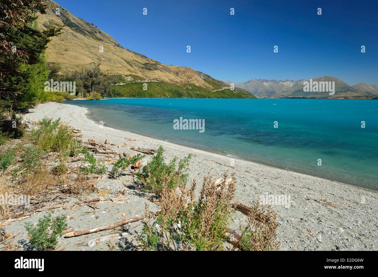 'Isola Sud della Nuova Zelanda Otago regione del Lago Wakatipu tra Queenstown e Glenorchy Foto Stock