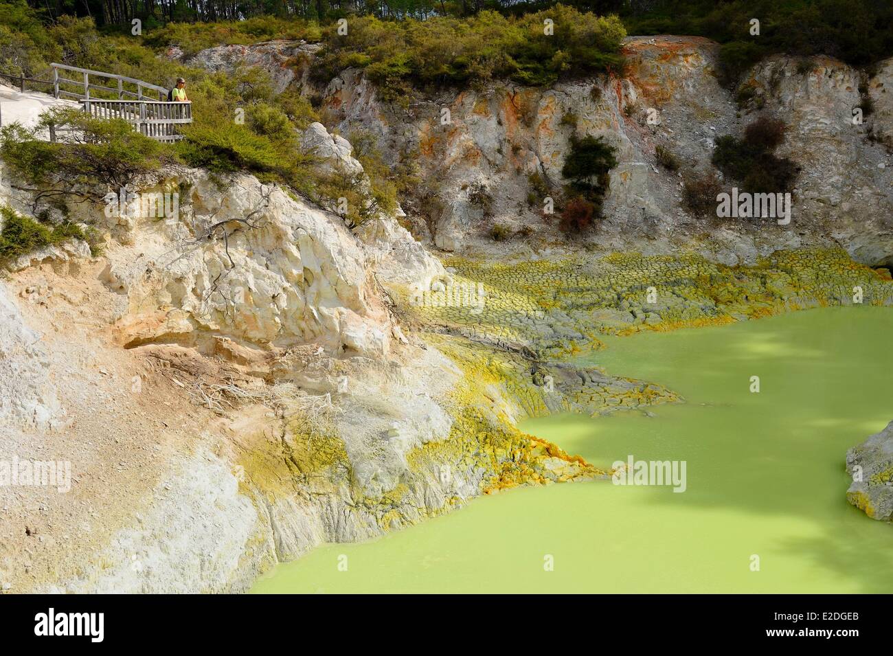 Nuova Zelanda Isola del nord del Distretto di Rotorua Taupo zona vulcanica del parco geotermico del Wai-O-Tapu Devil's vasca da bagno Foto Stock