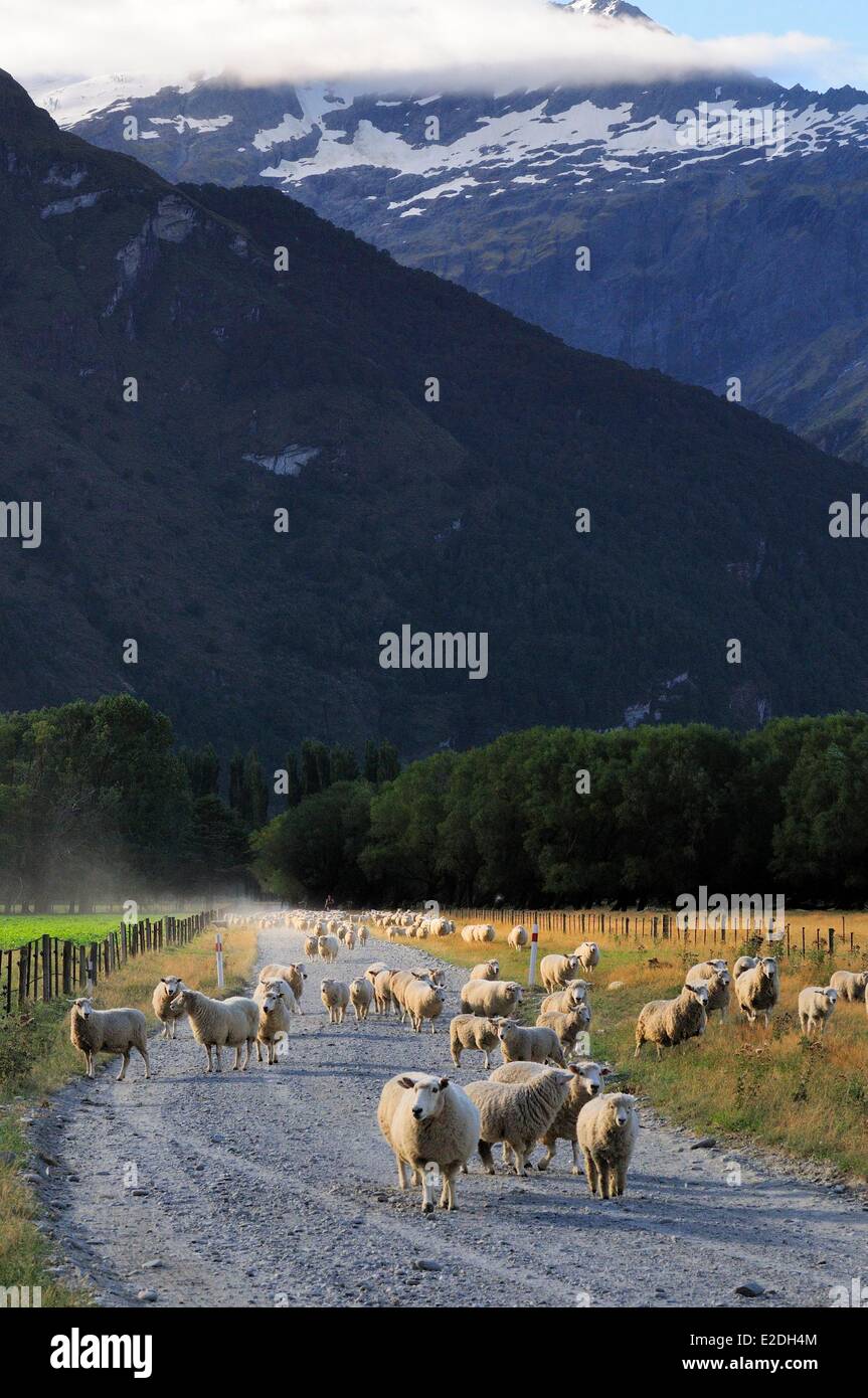 'Isola Sud della Nuova Zelanda Otago regione Te Wahipounamu sito elencato come patrimonio mondiale dall' UNESCO il Monte aspiranti Parco Nazionale Foto Stock