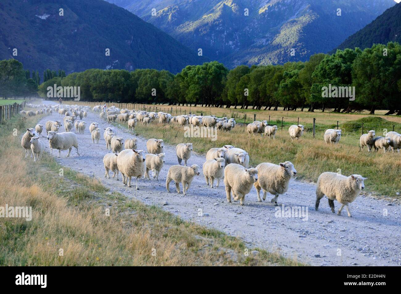 'Isola Sud della Nuova Zelanda Otago regione Te Wahipounamu sito elencato come patrimonio mondiale dall' UNESCO il Monte aspiranti Parco Nazionale Foto Stock