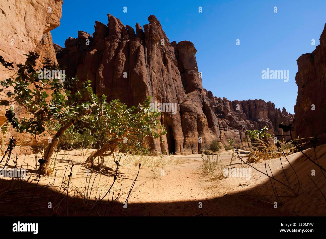 Il Ciad meridionale del deserto del Sahara massiccio Ennedi guelta (acqua serbatoio) ofArchei Foto Stock