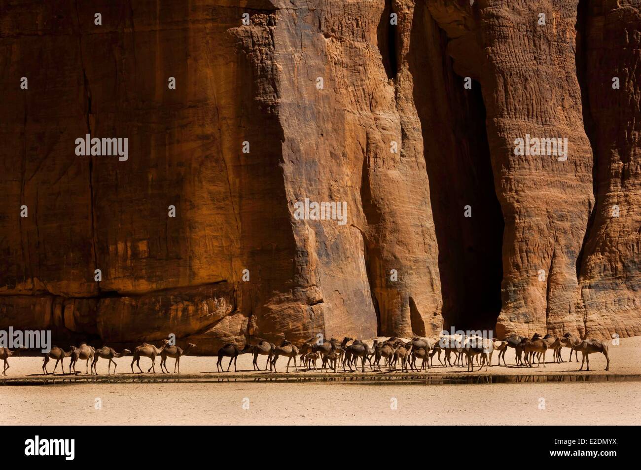 Il Ciad meridionale del deserto del Sahara massiccio Ennedi guelta (acqua serbatoio) ofArchei Foto Stock
