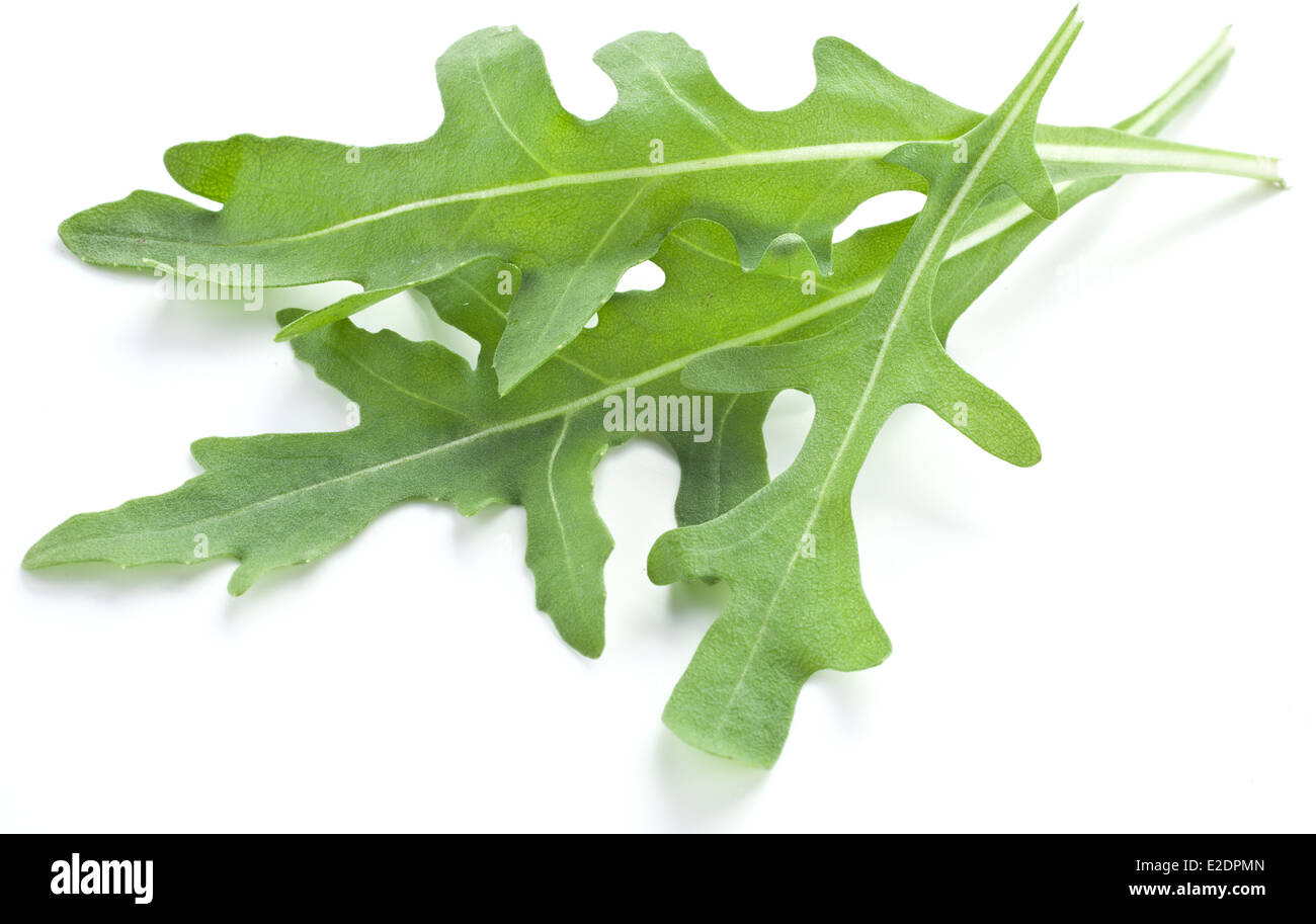 Verde foglie di rucola isolato su uno sfondo bianco. Foto Stock