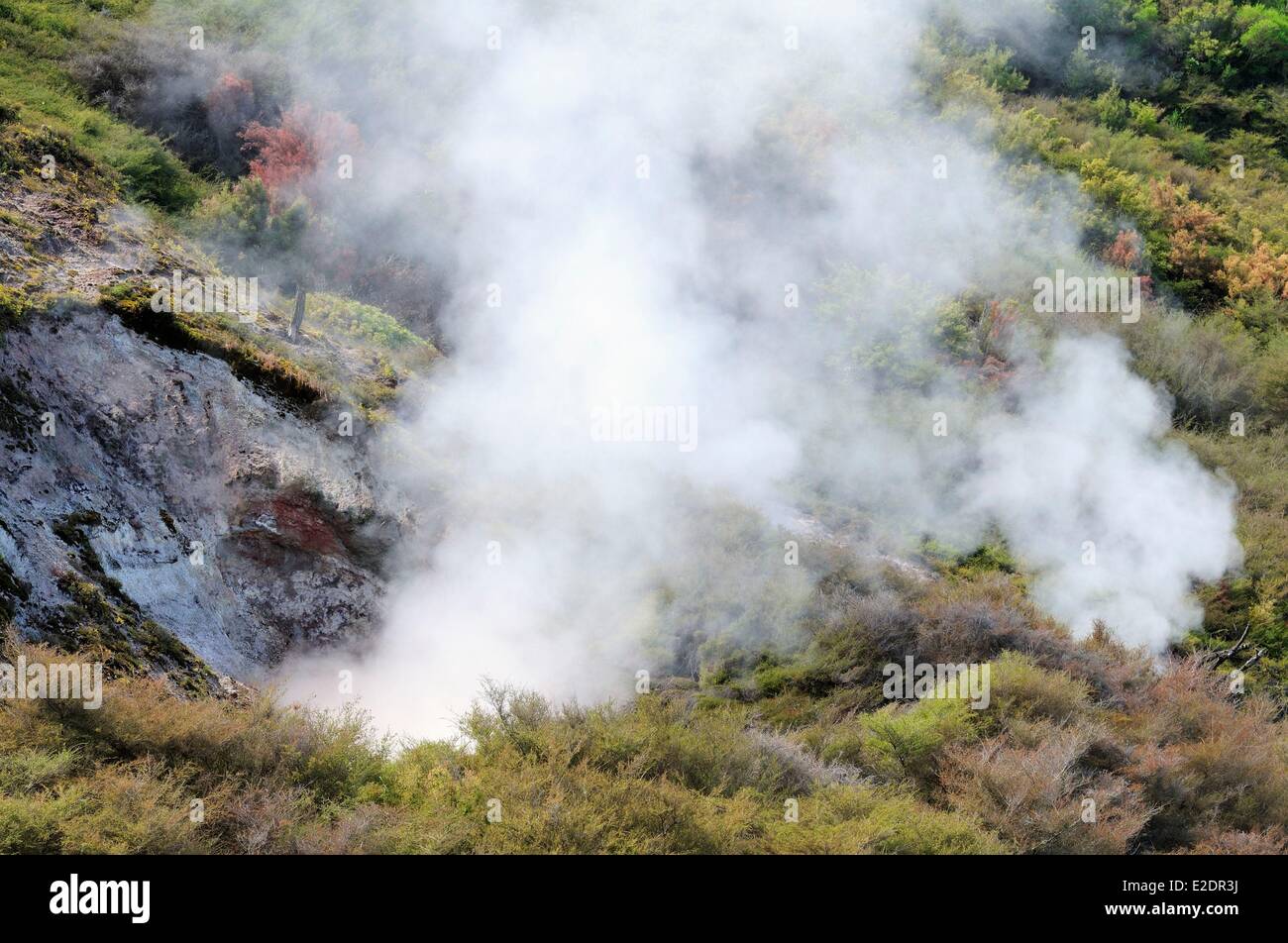 Nuova Zelanda Isola del nord Taupo spa e crateri vulcanici della luna area dal 1950 crateri di fango bollente e altri Foto Stock