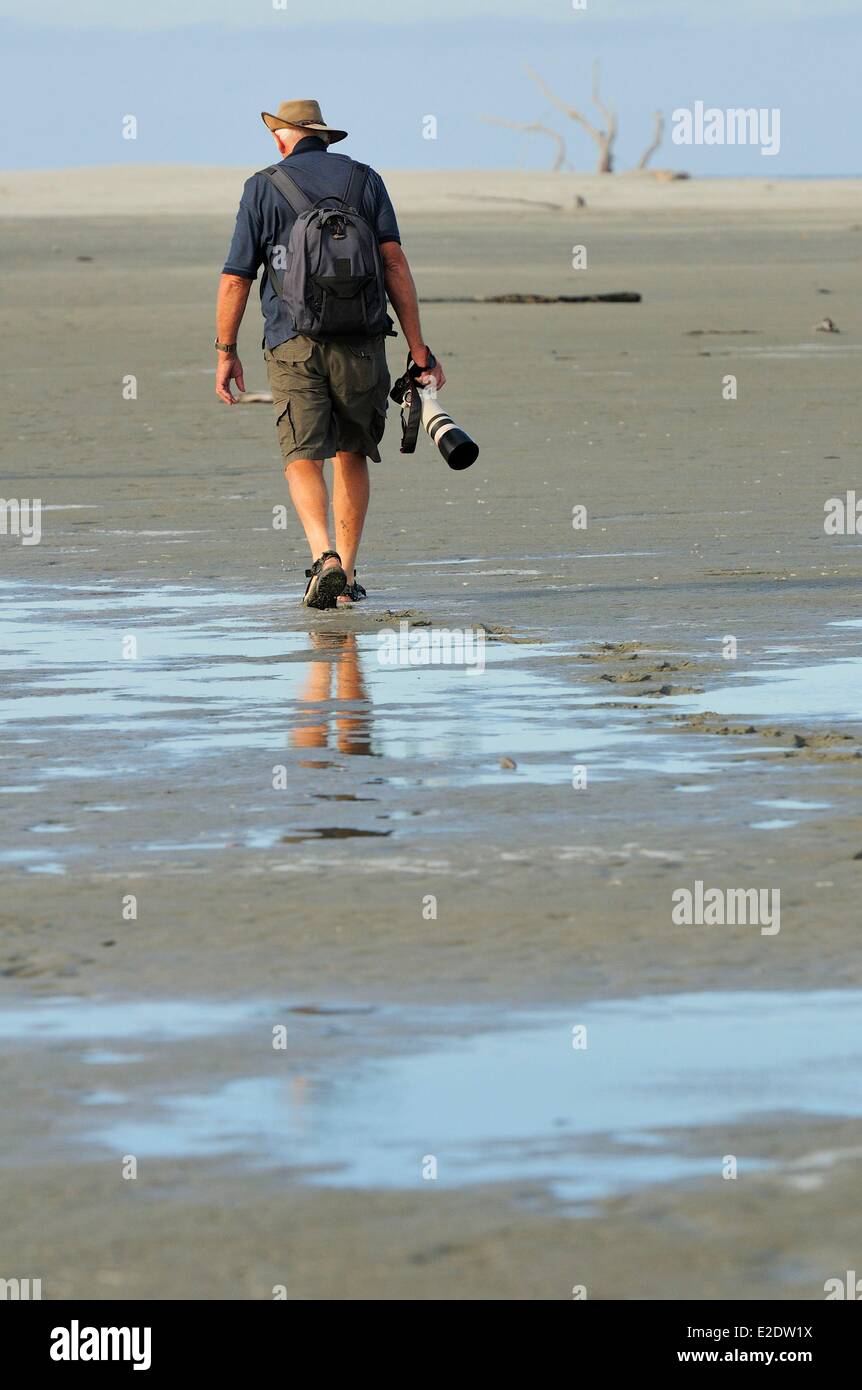 Nuova Zelanda, Isola del Sud, regione Tasmania, 4x4 tour bus da Collingwood a Farewell Spit, con l'agenzia Farewell Spit eco-tour, Farewell Spit è una stretta spiedo di sabbia (27 km di lunghezza) all'estremità settentrionale dell'Isola del Sud e kiwi a forma di becco. Il sito è una delle cinque più grandi riserve naturali di uccelli nel mondo, ogni anno accogliendo le specie migratorie come le sule (Morus serrator) Foto Stock