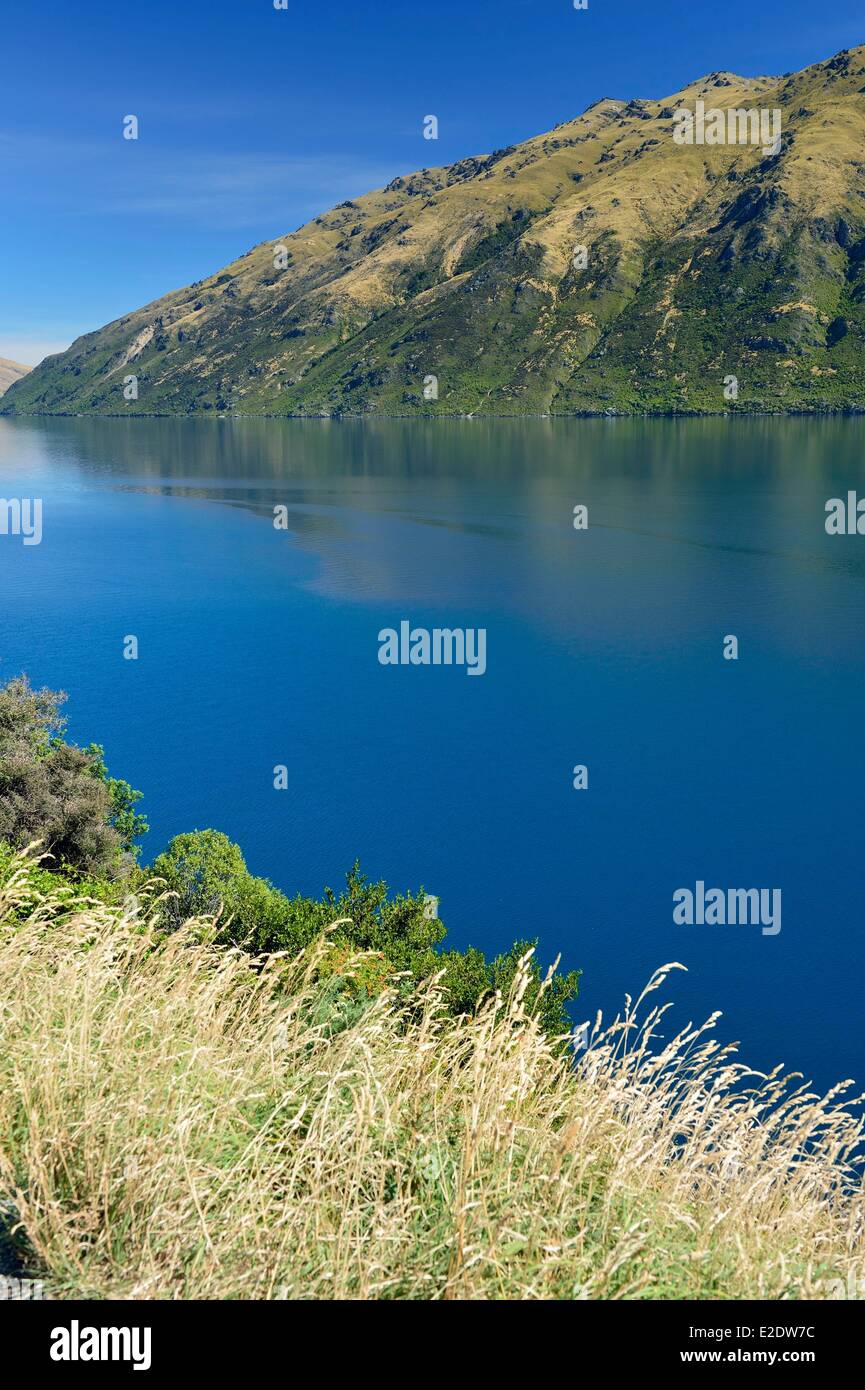 Nuova Zelanda, Isola del Sud, regione di Otago, il lago Wakatipu è il più lungo della Nuova Zelanda con una lunghezza di 80 chilometri verso Foto Stock