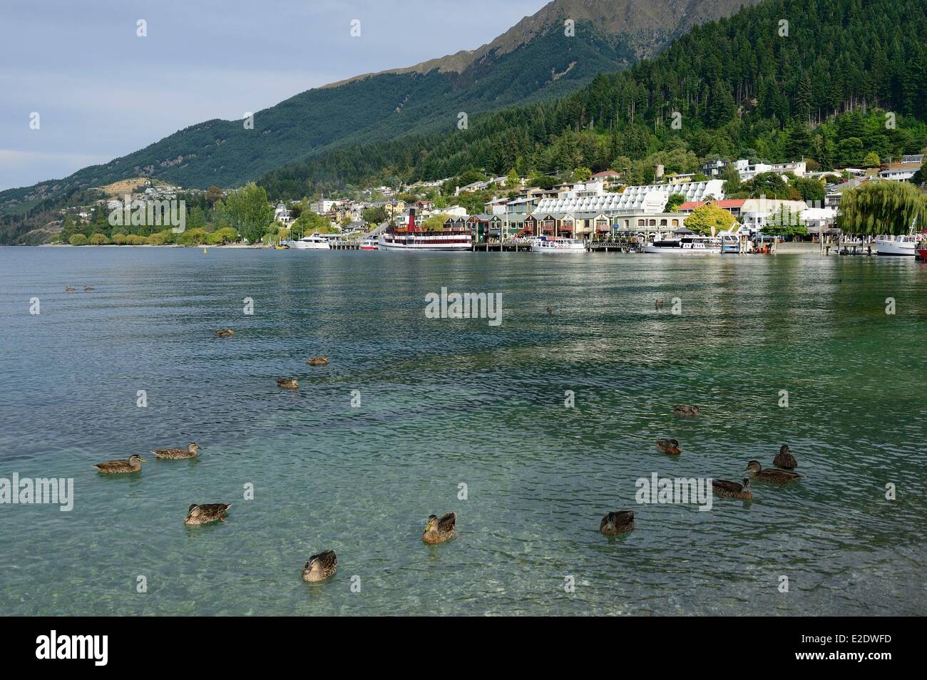 Nuova Zelanda, Isola del Sud, regione di Otago, Queenstown sul bordo del lago Wakatipu, è conosciuto in tutto il mondo per la sua attività di avventura (Lo sci e lo snowboard, il jet boating, whitewater rafting, bungy jumping, mountain bike, skateboard, tramping, parapendio, sky diving), Queenstown Bay Foto Stock