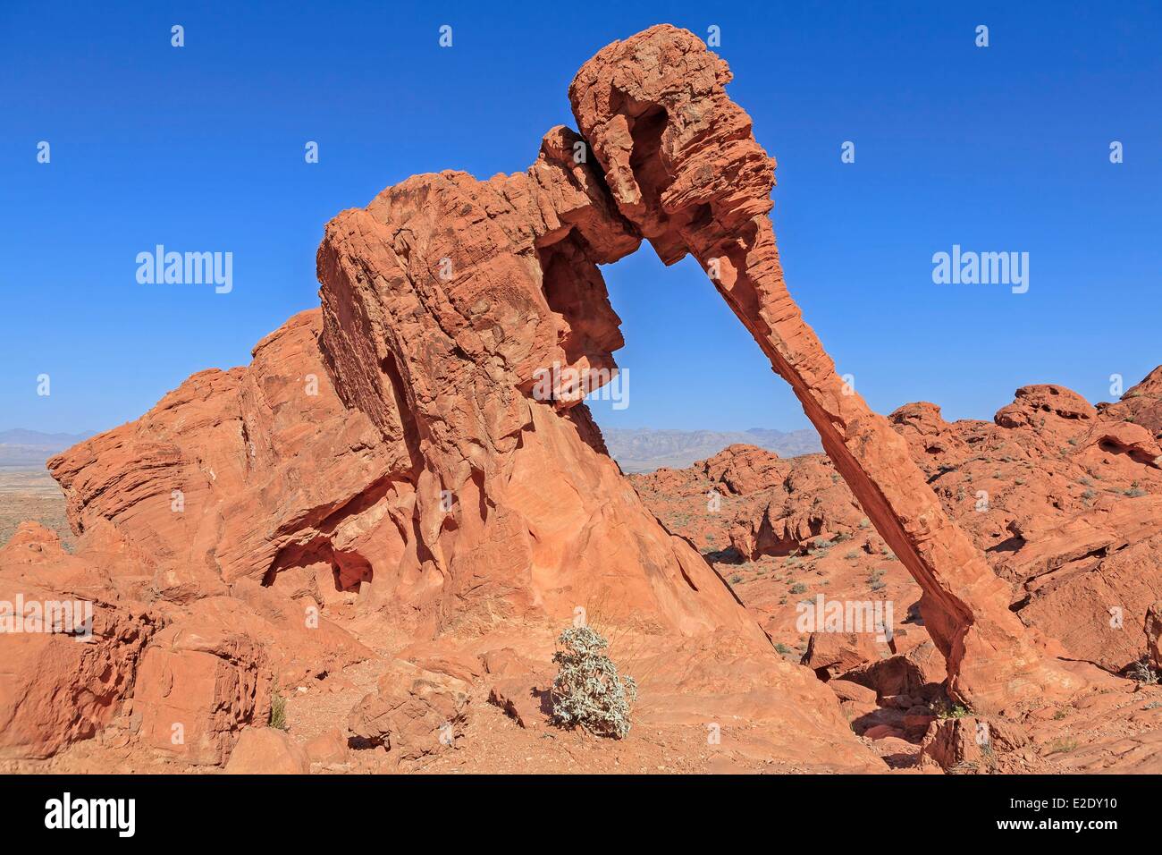 Stati Uniti Nevada Colorado Altopiano della Valle del Fuoco del Parco Statale Elephant Rock Foto Stock