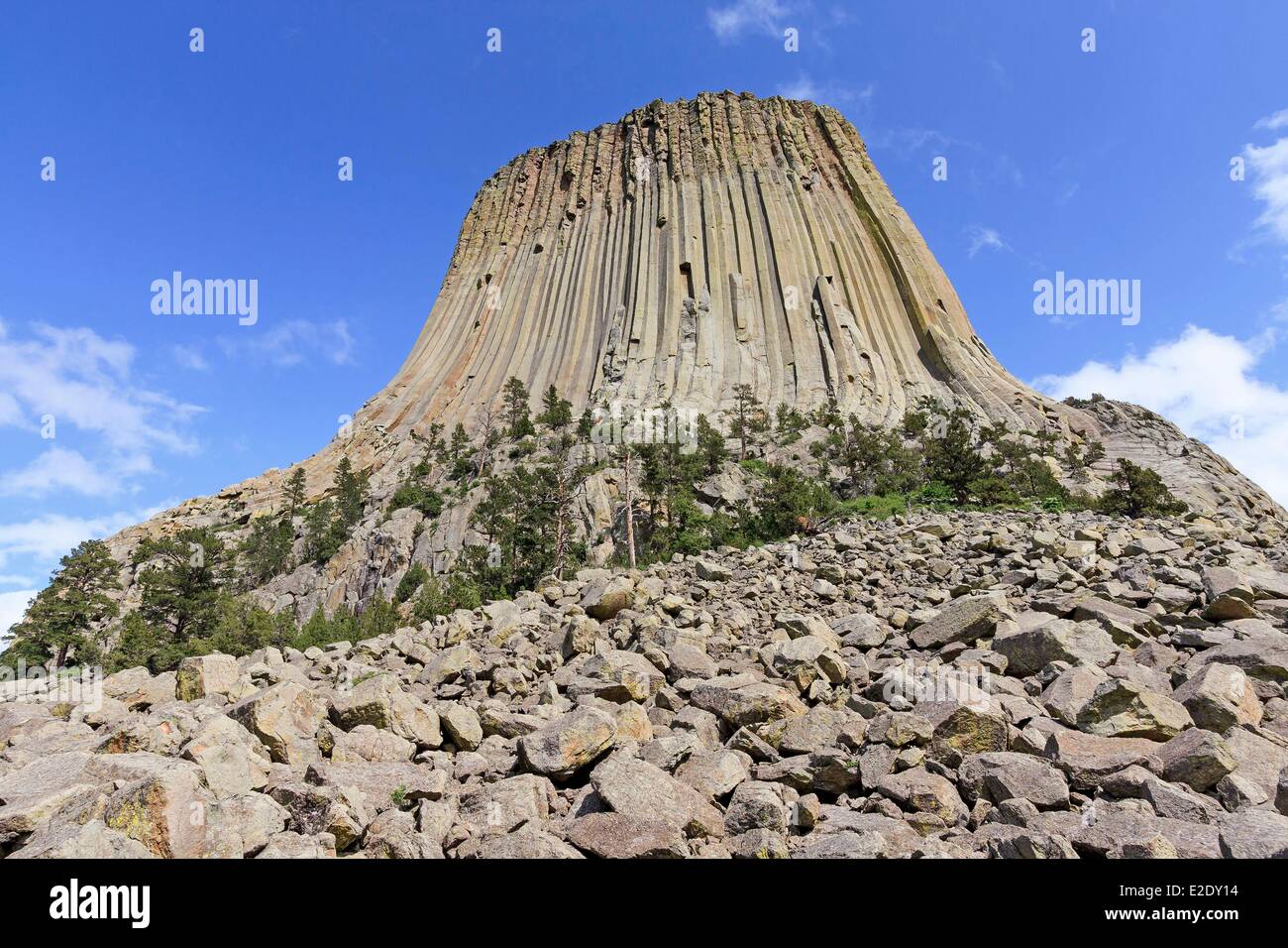 Stati Uniti Wyoming Devils Tower National Monument Devils Tower è un laccolith in nero sulle colline vicino a Hulett e Sundance Foto Stock