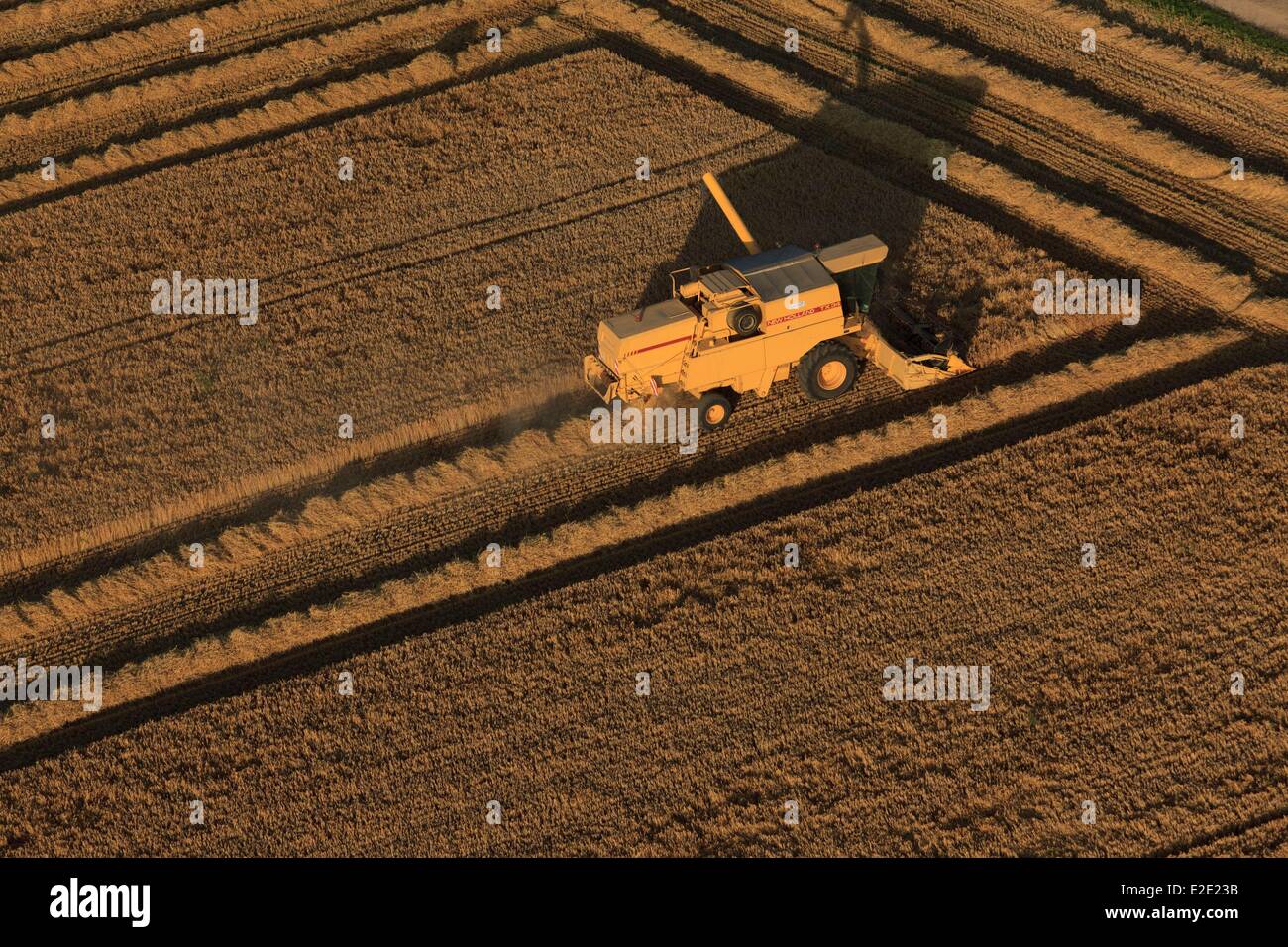 Francia Meurthe et Moselle Saintois Chaouilley New Holland mietitrebbia in un campo di grano (vista aerea) Foto Stock