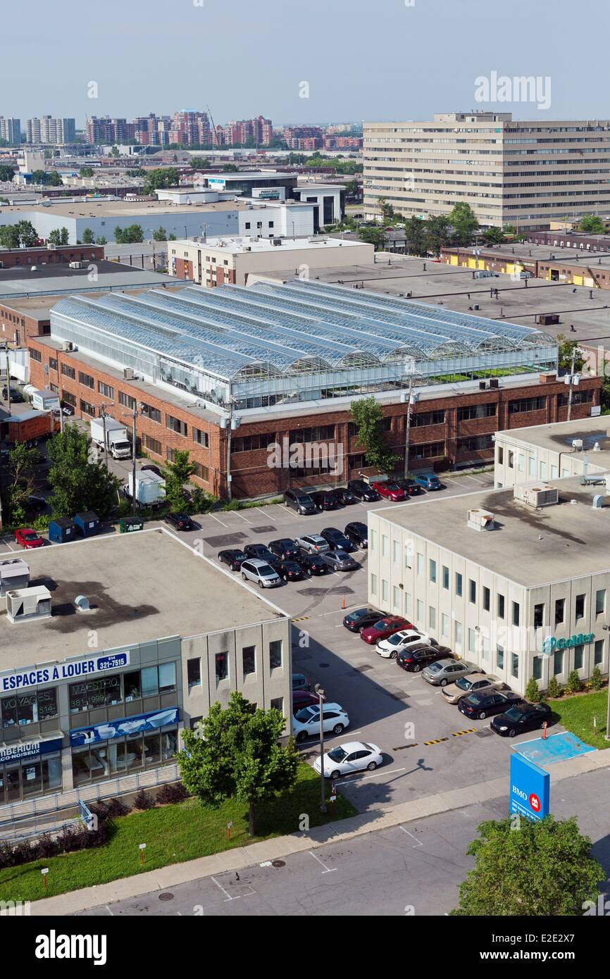 Canada Quebec Montreal provincia distretto Ahuntsic-Cartierville Lufa aziende il primo serra commerciale su un tetto in la Foto Stock
