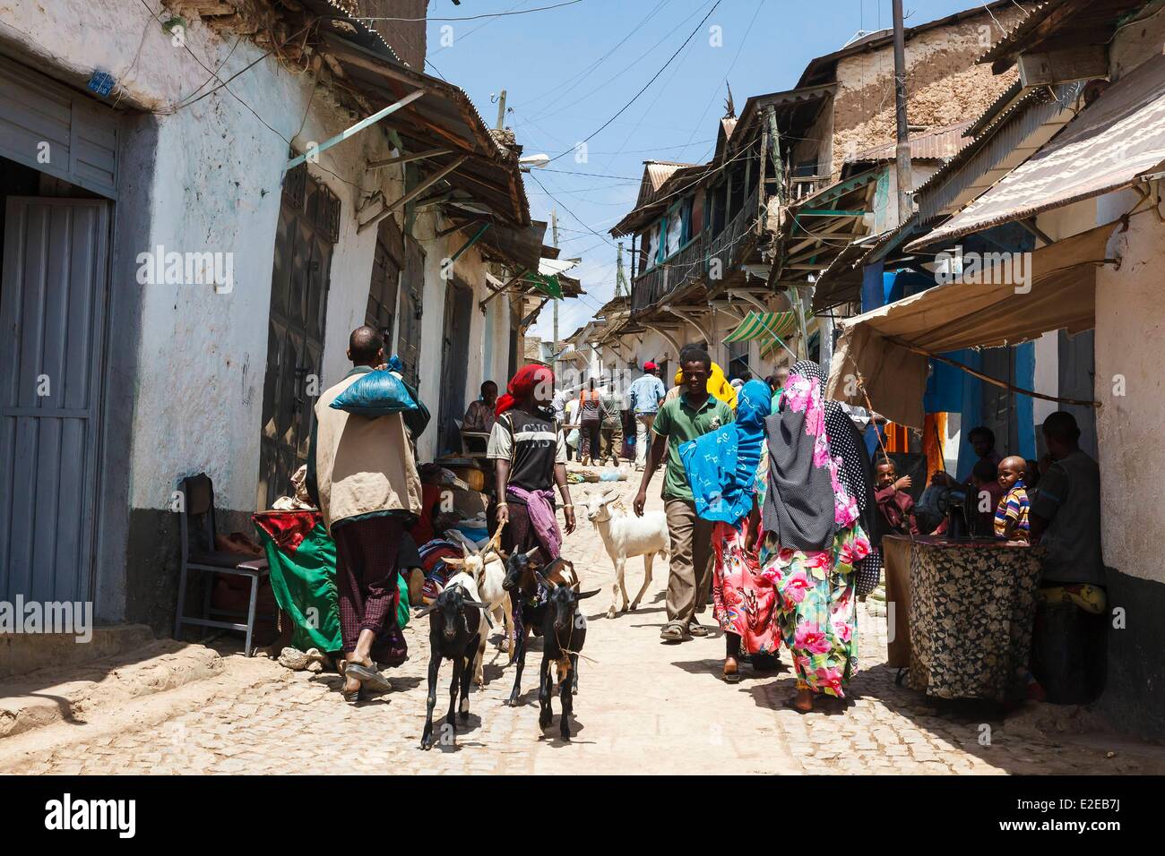 Etiopia, Harar, classificato come patrimonio mondiale dall UNESCO, street Foto Stock