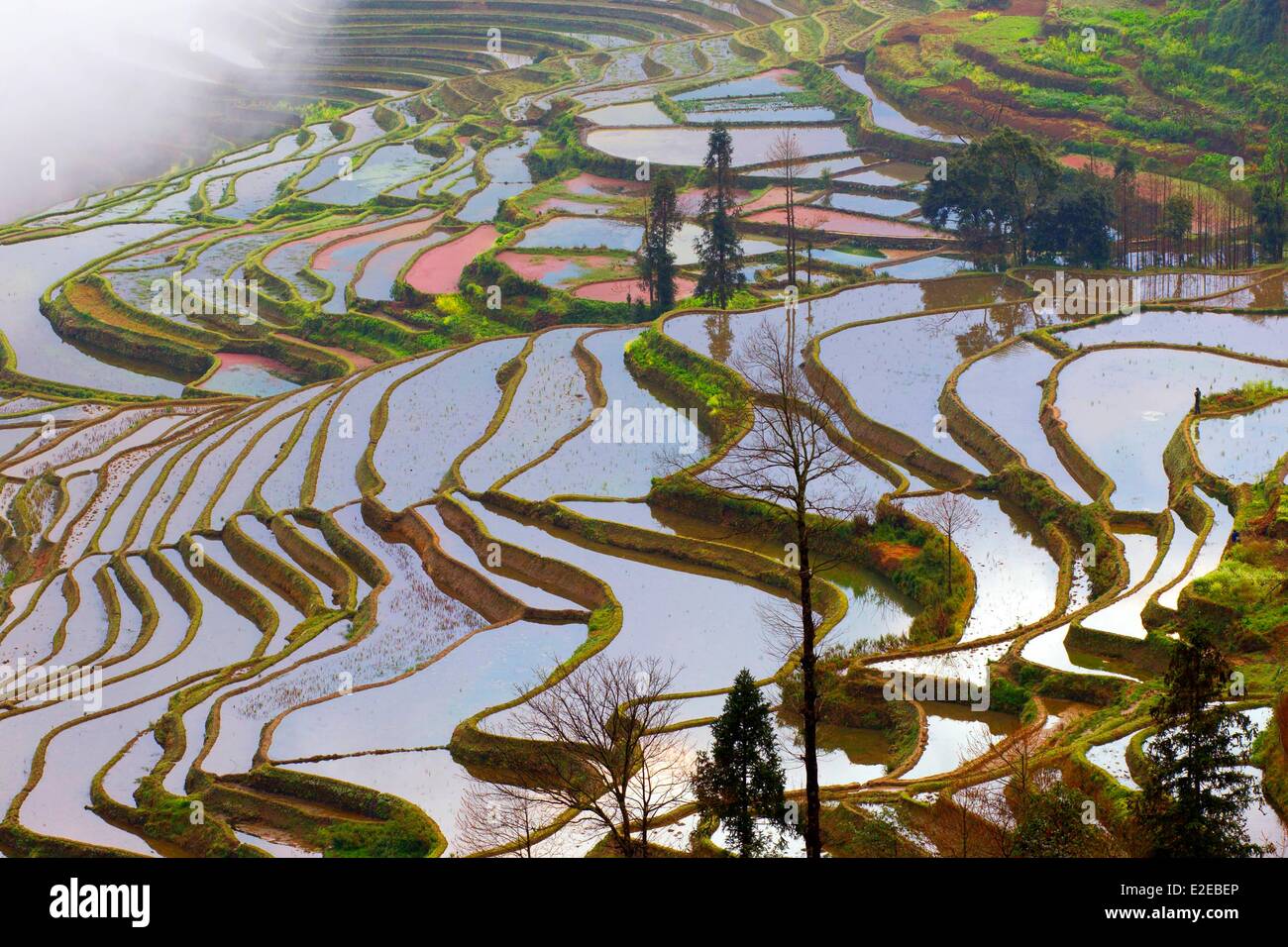 Cina Yunnan Yuanyang Paesaggio culturale di Honghe Hani terrazze di